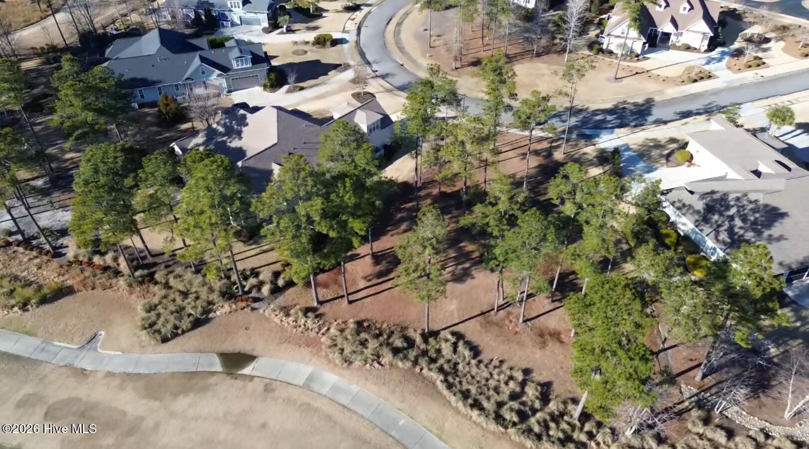 100557146 | Photo 12