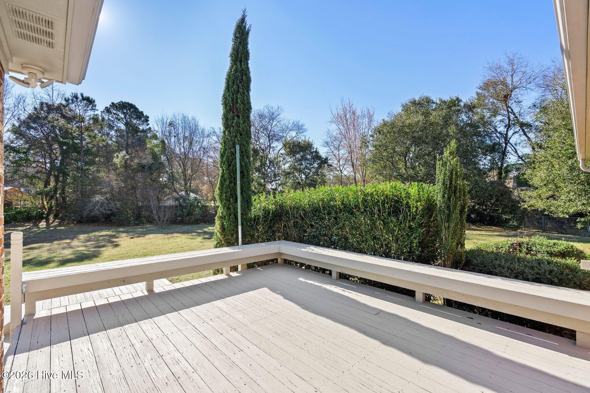 100556381 | Photo 43