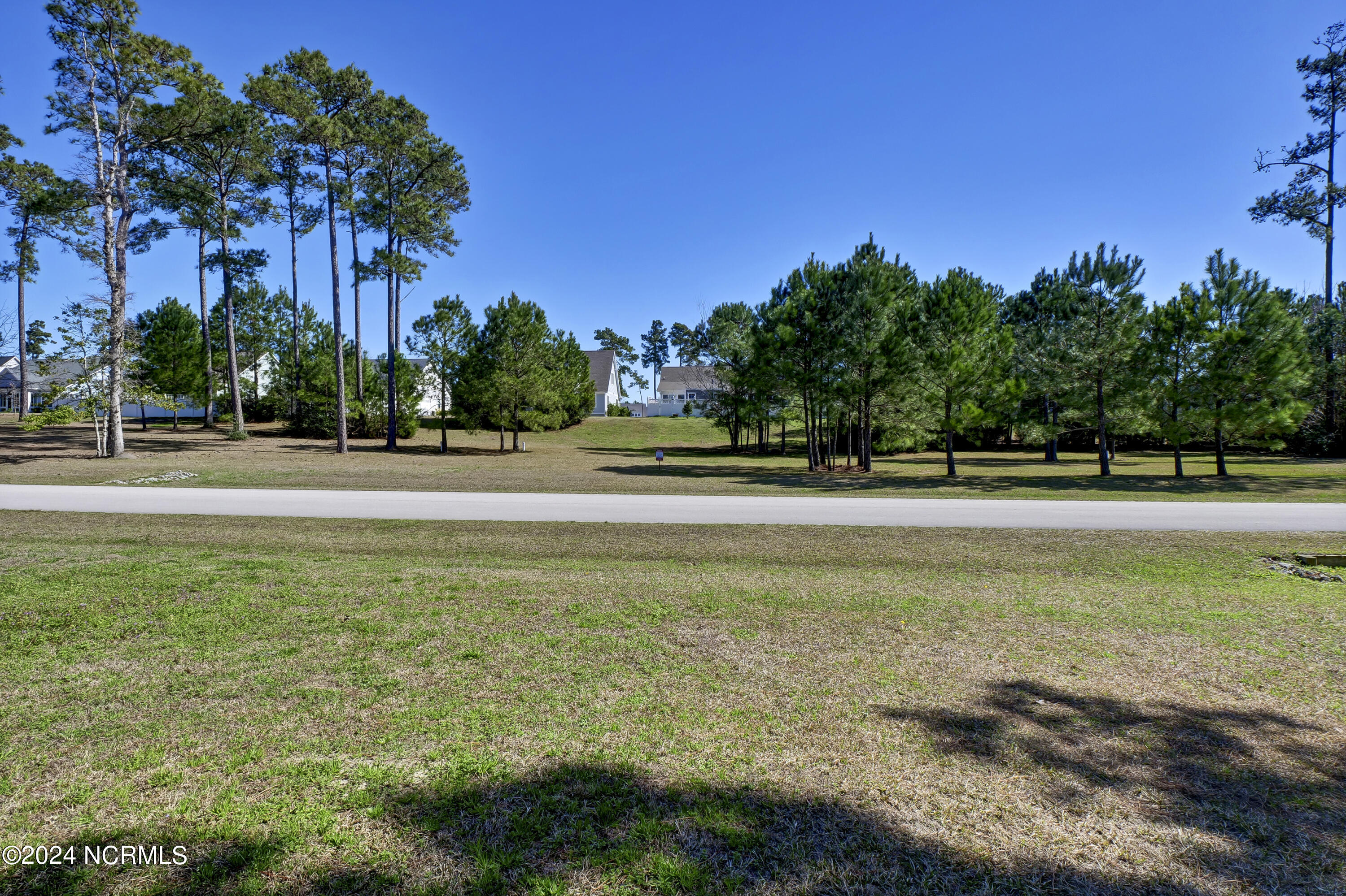 100559912 | Photo 13