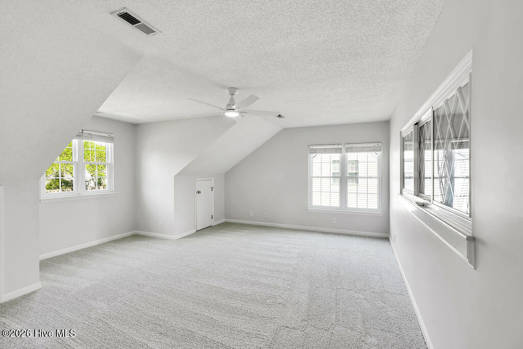 100567084 | Photo 23