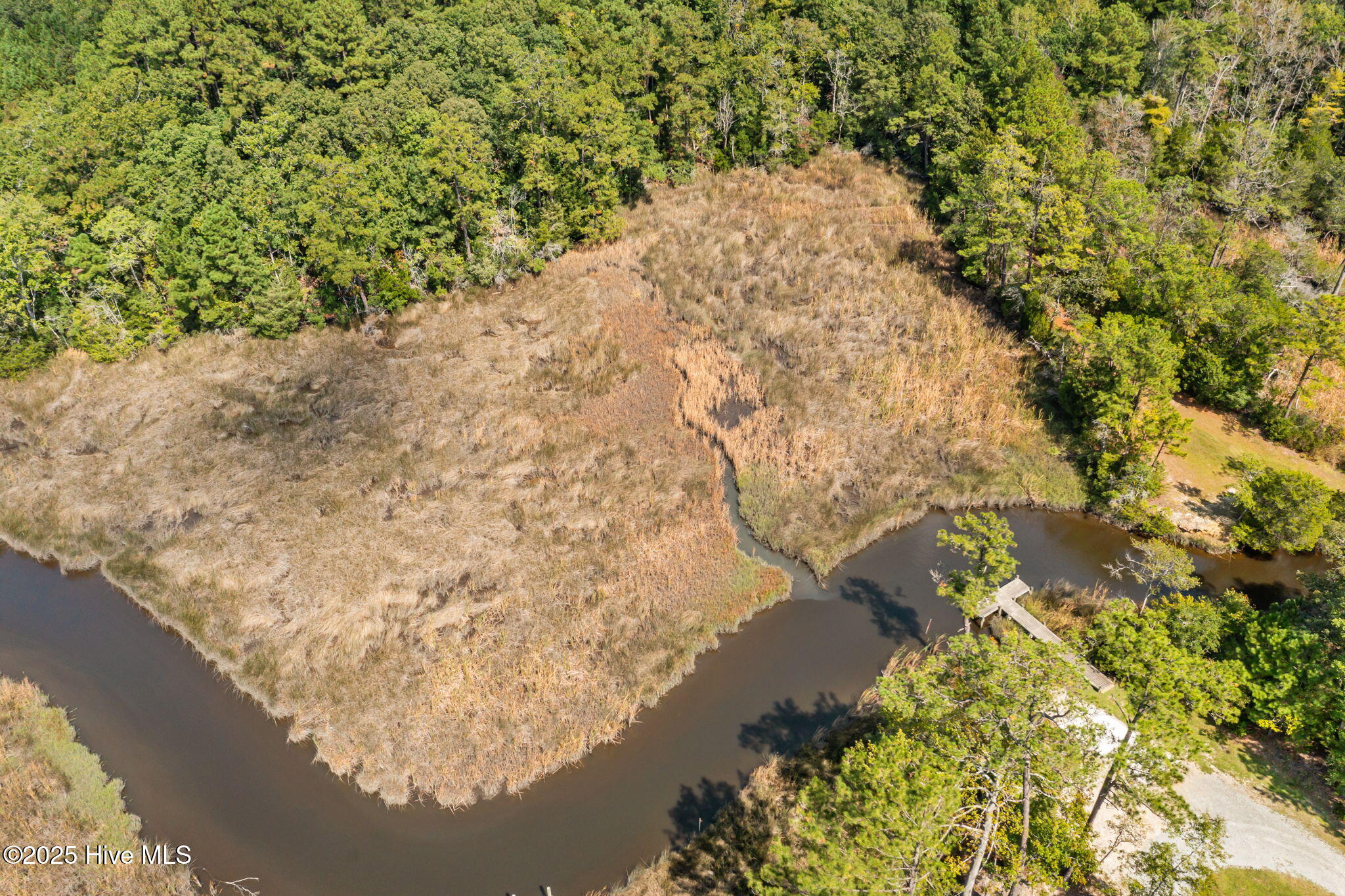 100535245 | Photo 14