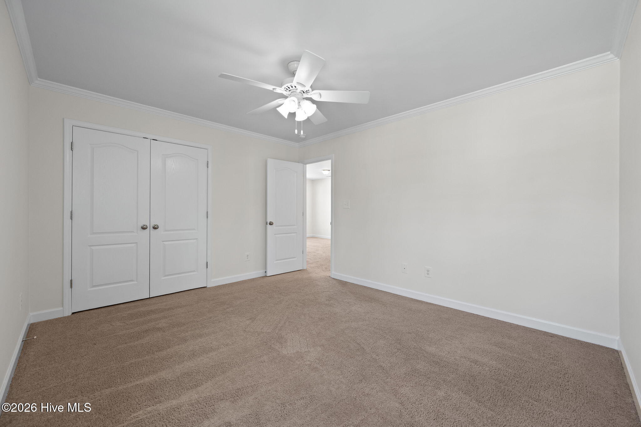 100570344 | Photo 34