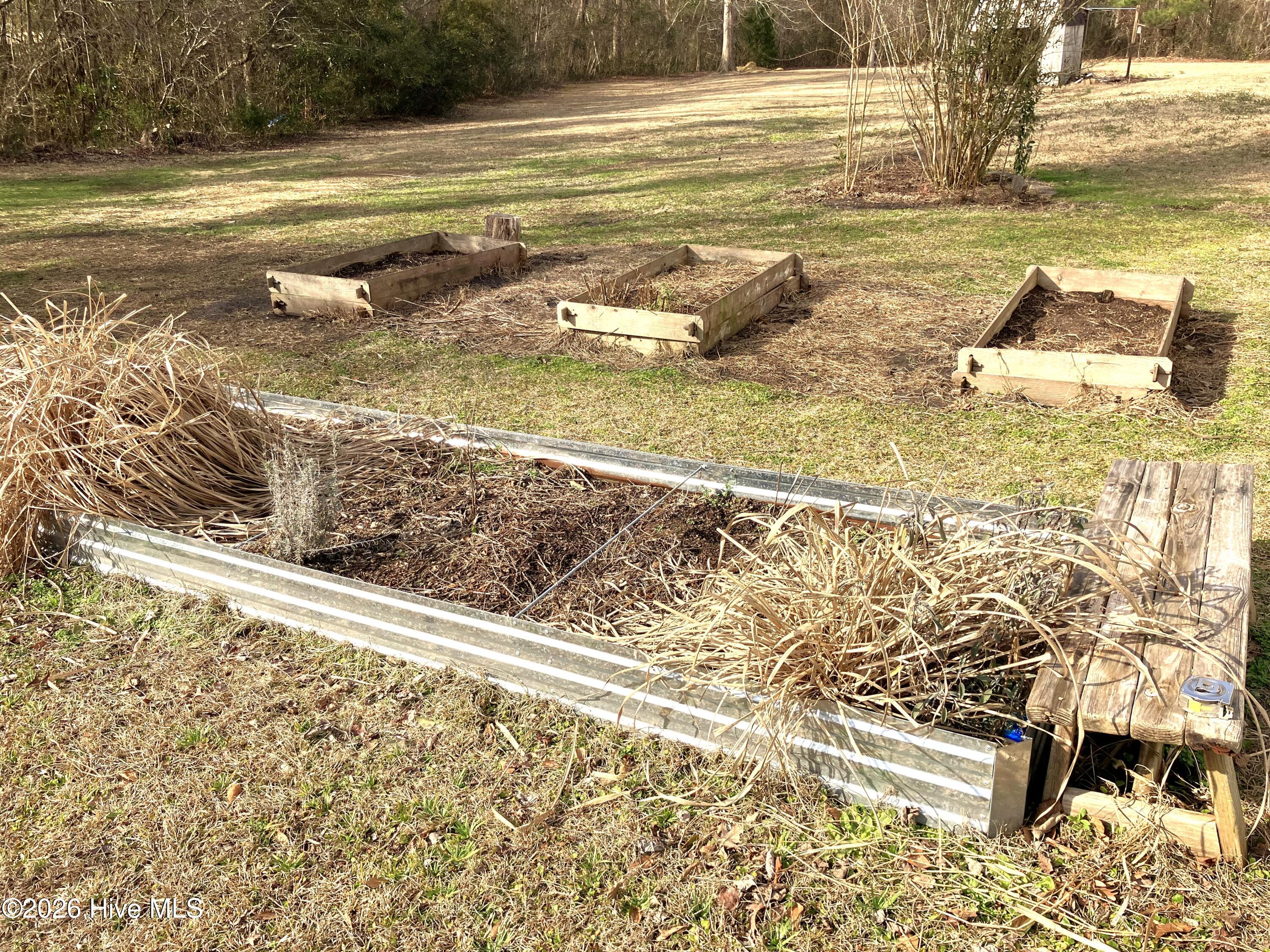 100555238 | Photo 33