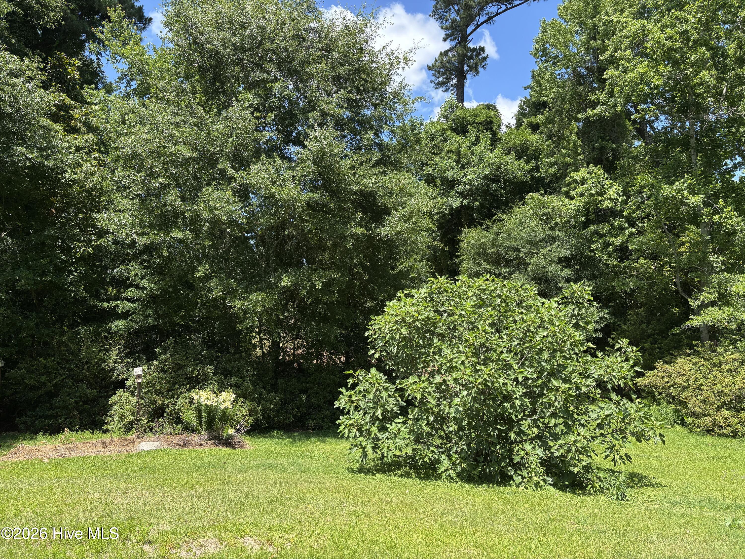 312 Neuse Cliffs Road,New Bern