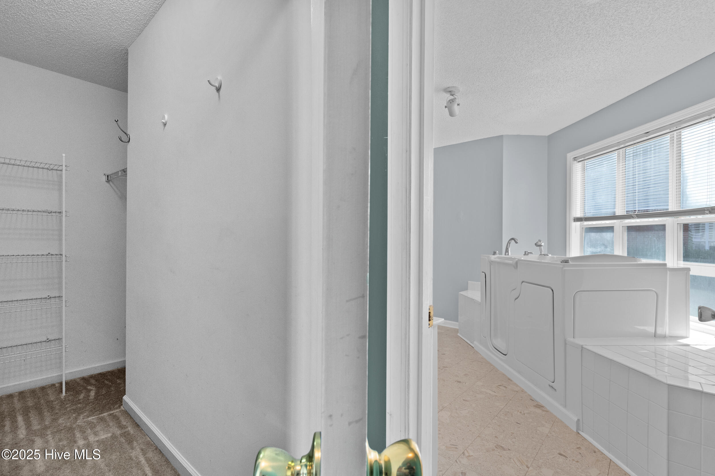 100528795 | Photo 24