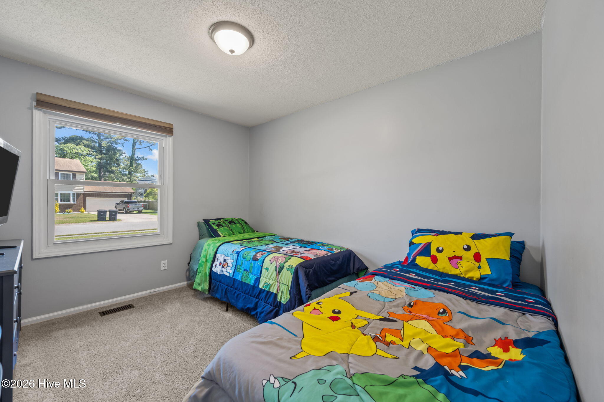 100569028 | Photo 40