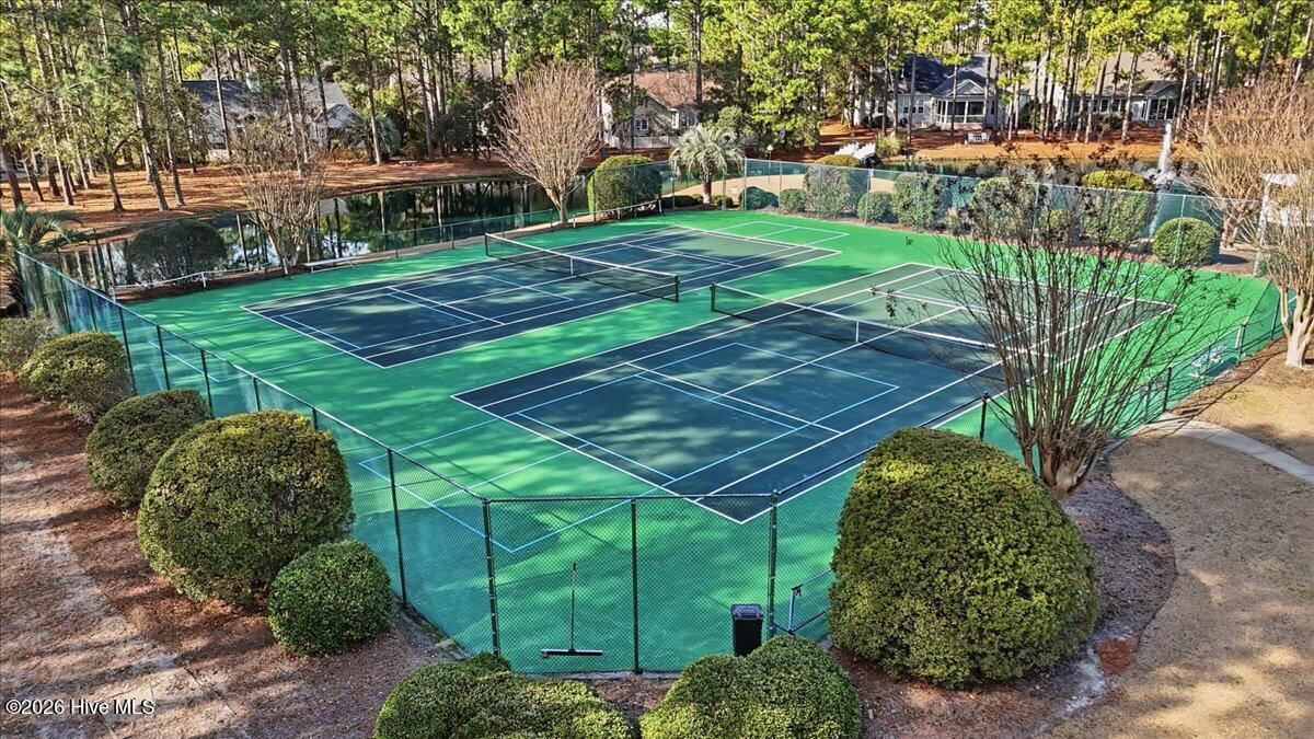 100548229 | Photo 53