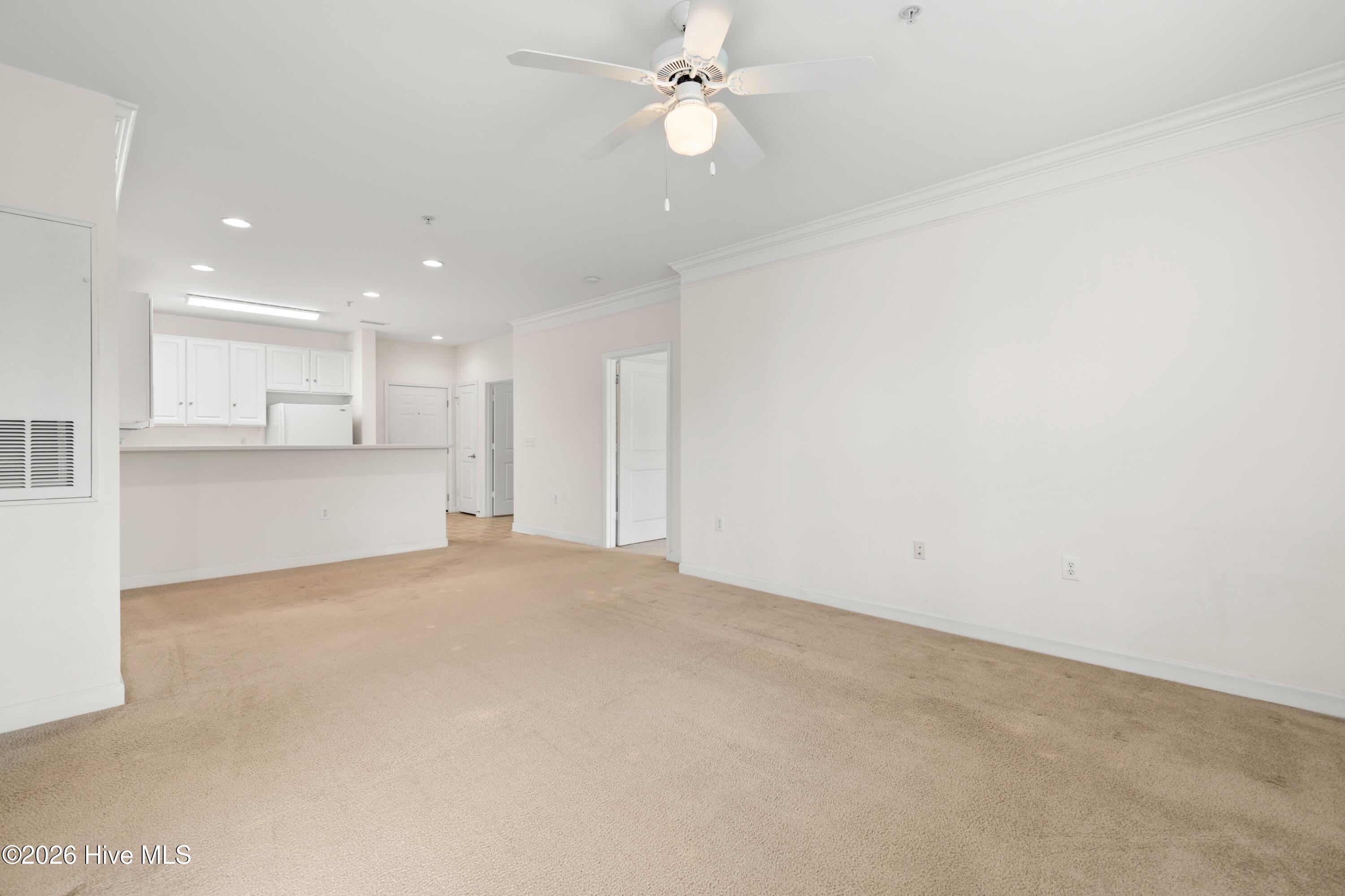 100557008 | Photo 14