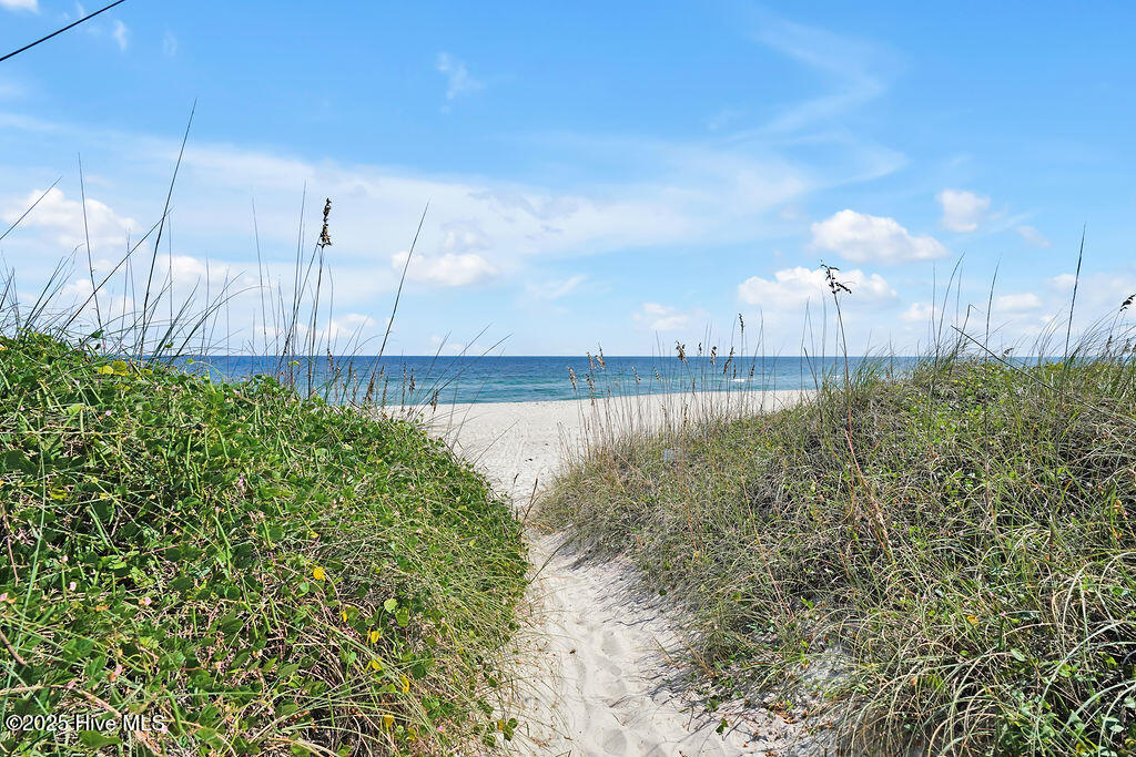 100532068 | Photo 35