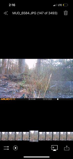 Homes for sale in Louisville, GA | 3395 Gough Rd, Louisville, GA 30434 | MLS# 544934