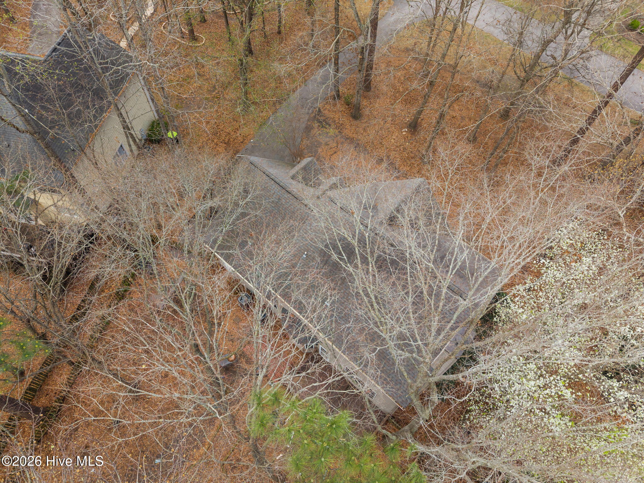 100557636 | Photo 37