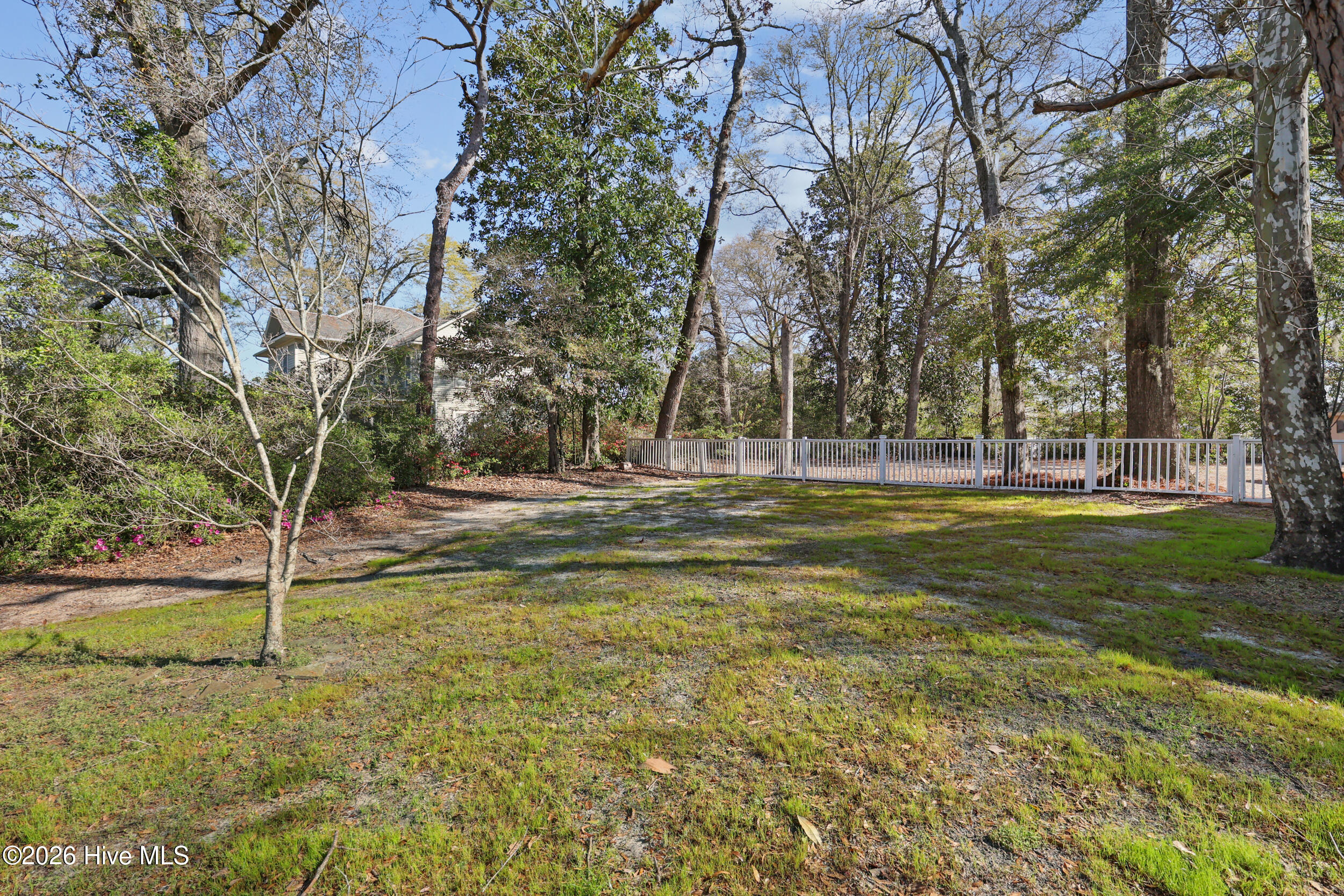 100562398 | Photo 36