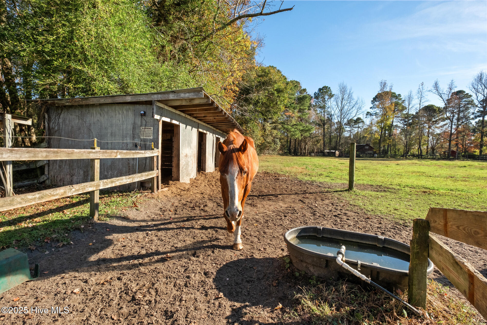 100542459 | Photo 33