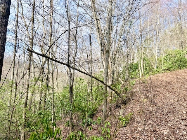 Exterior photo of 00 Beech Creek/ Little Hardwood, Robbinsville, NC 28771. MLS: 98500291