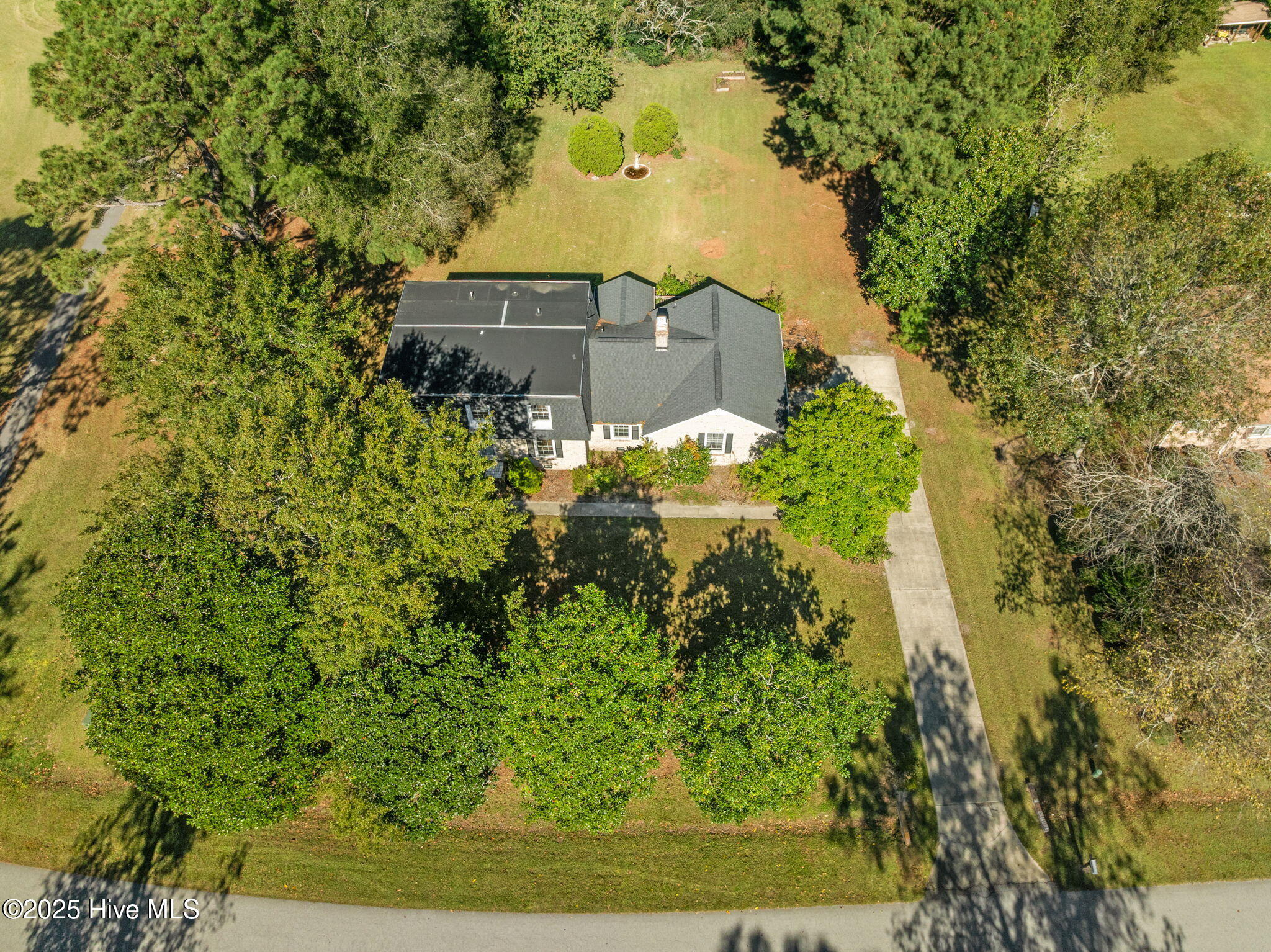 100537375 | Photo 46