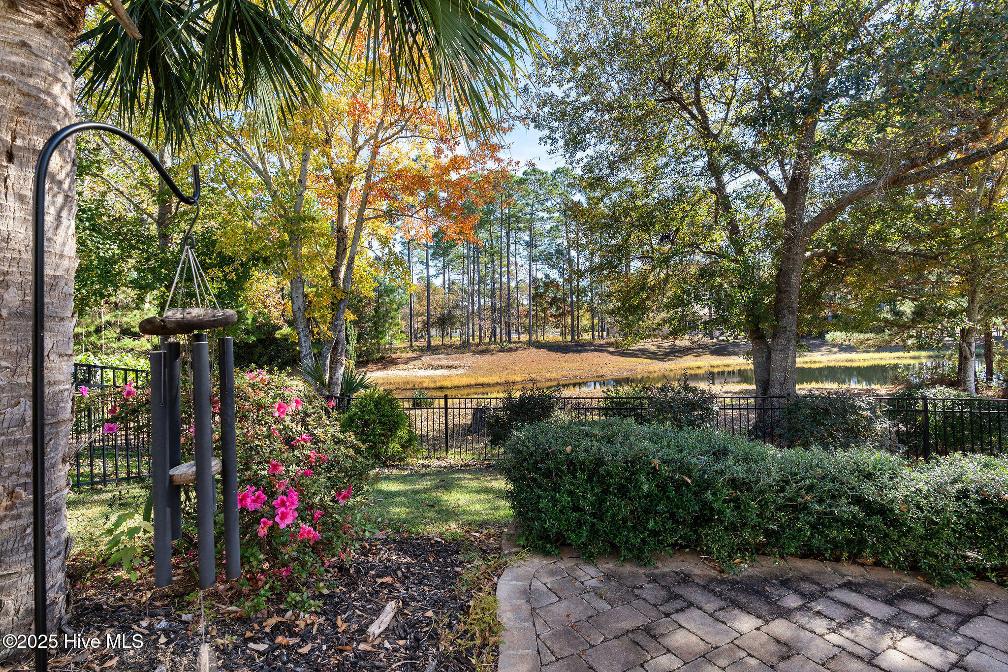 100542530 | Photo 47