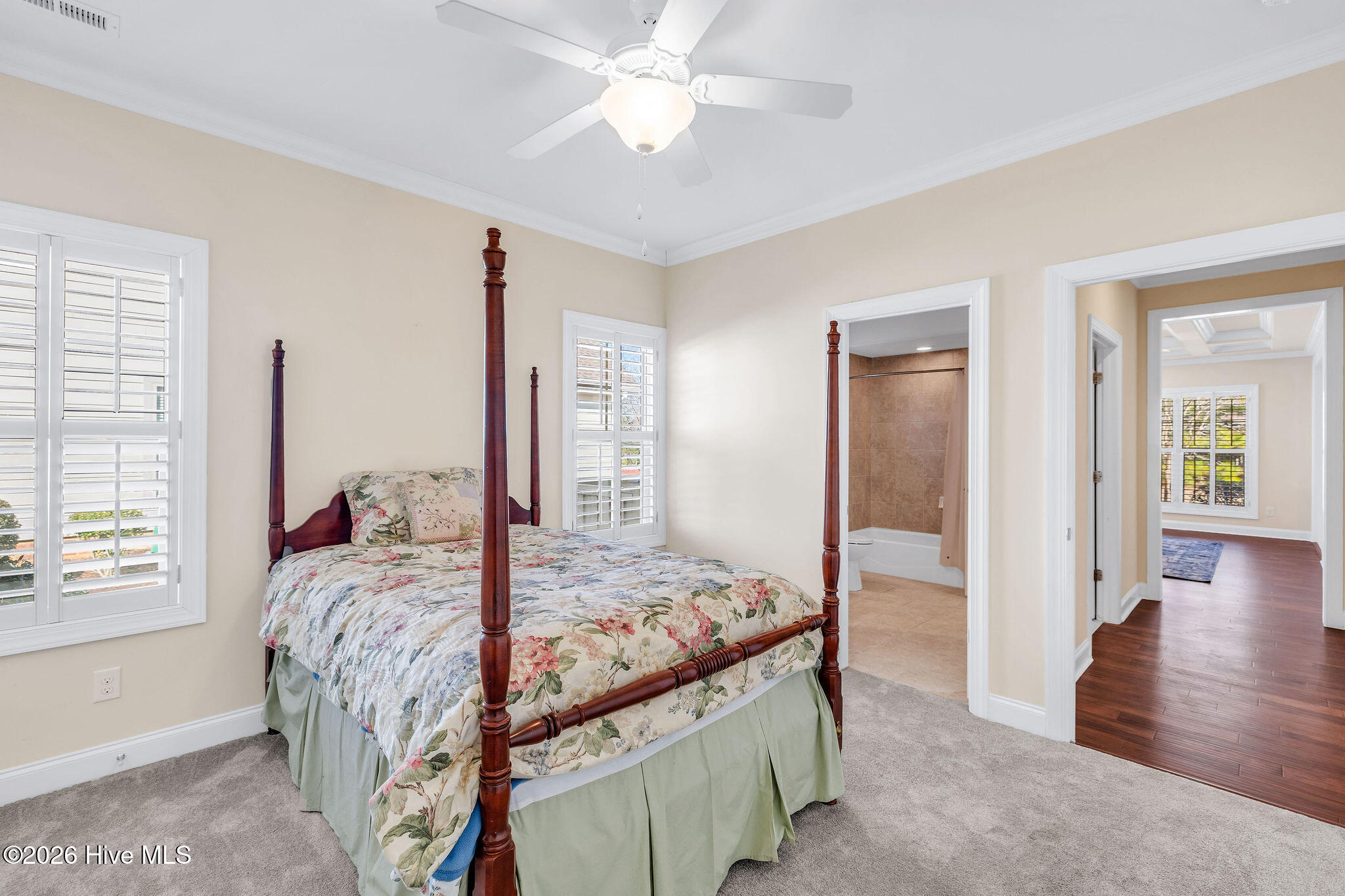 100553978 | Photo 29