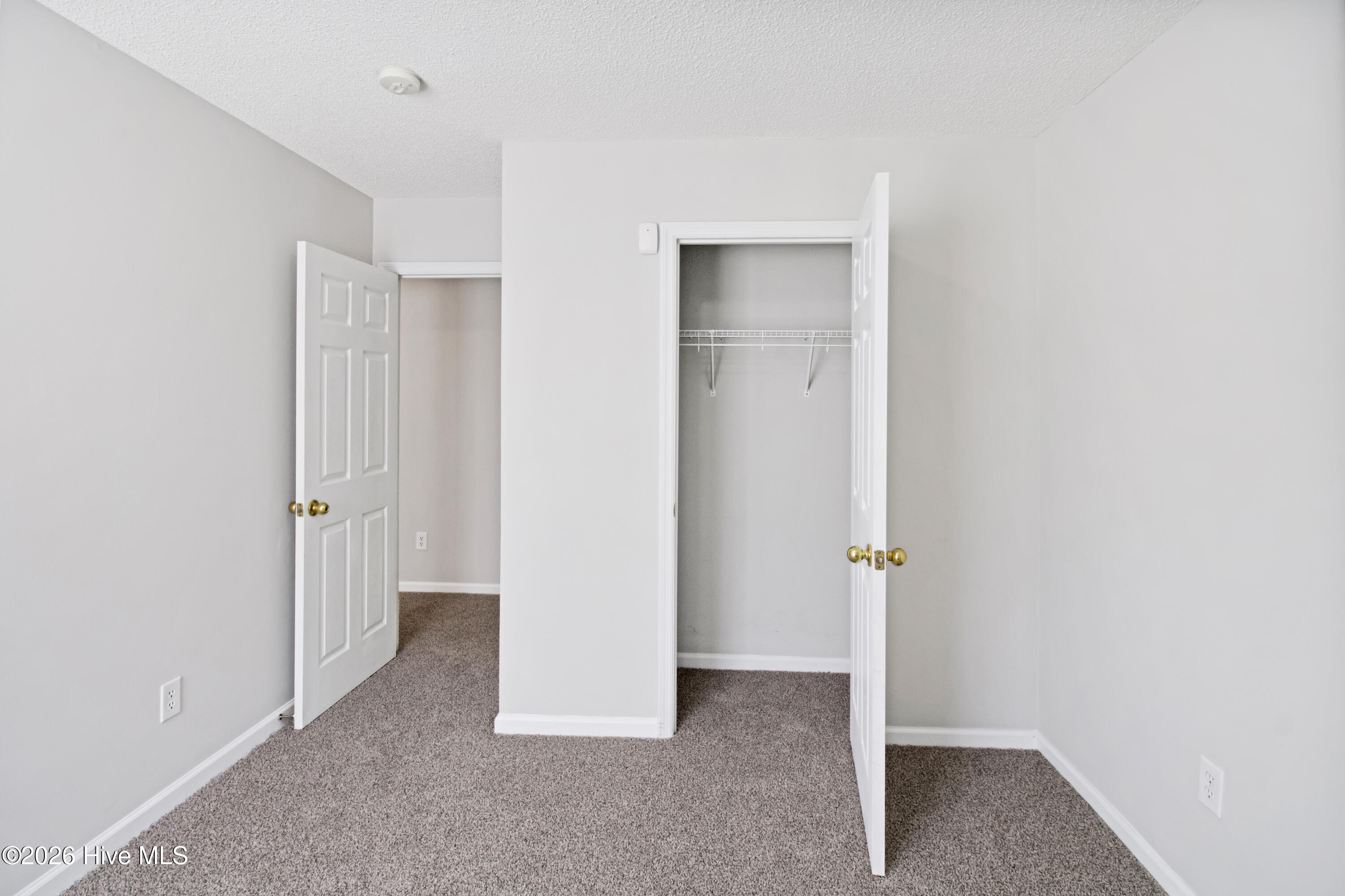 100556649 | Photo 12