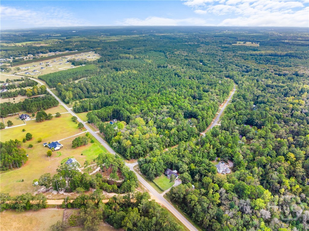 15th image of 0 Plantation Pointe Dr, Statesboro, GA 30461 | MLS# CL352677