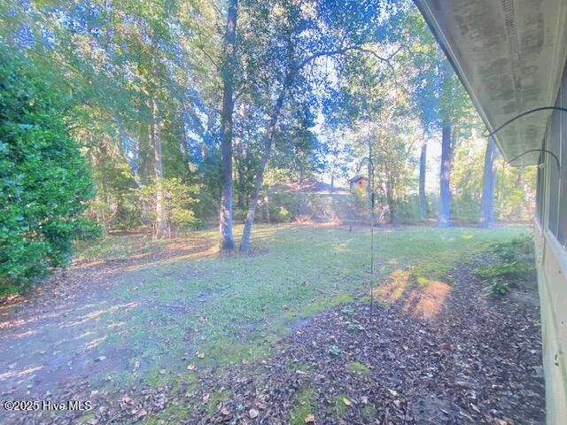 100537292 | Photo 22