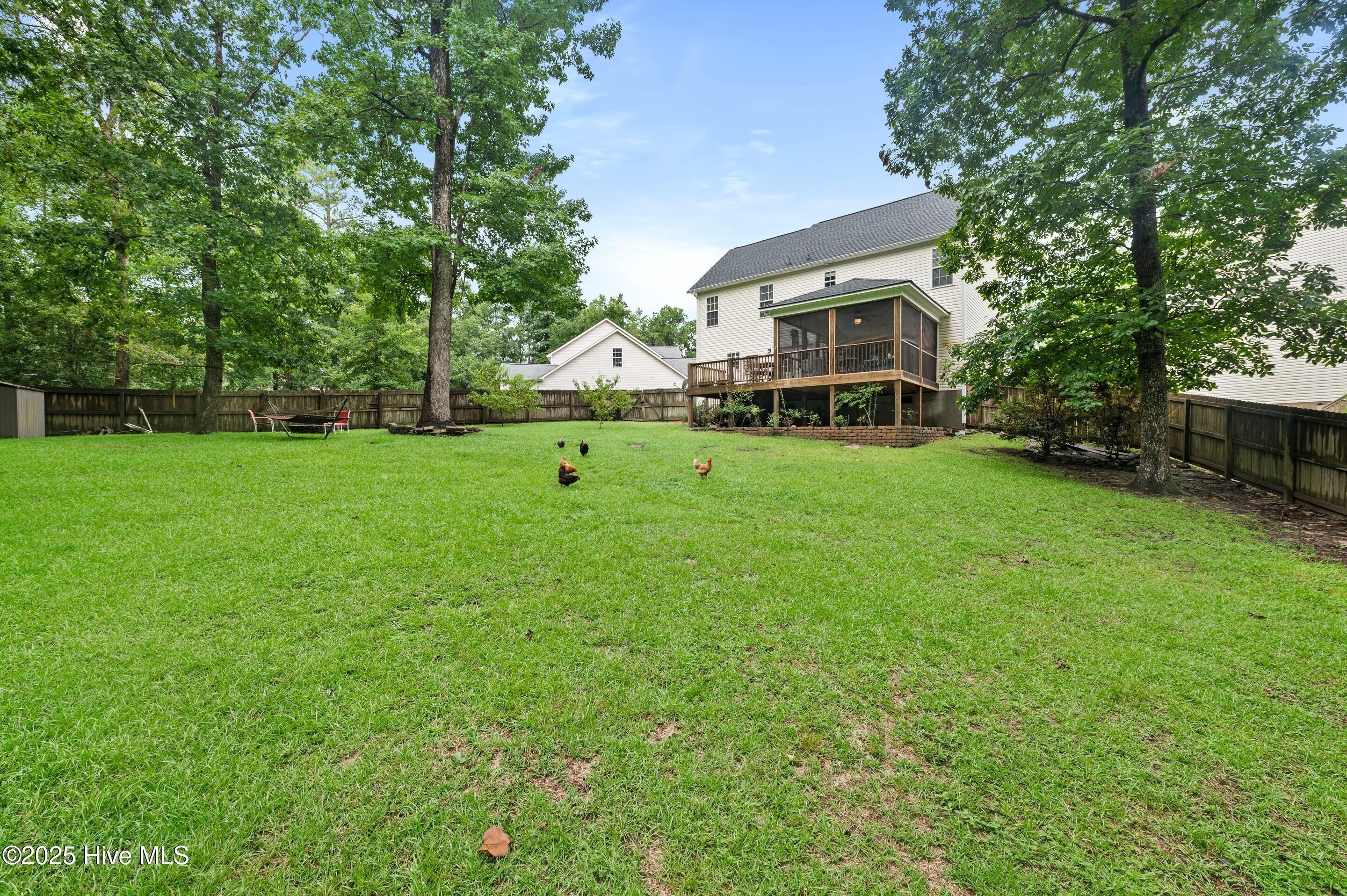 100523069 | Photo 33