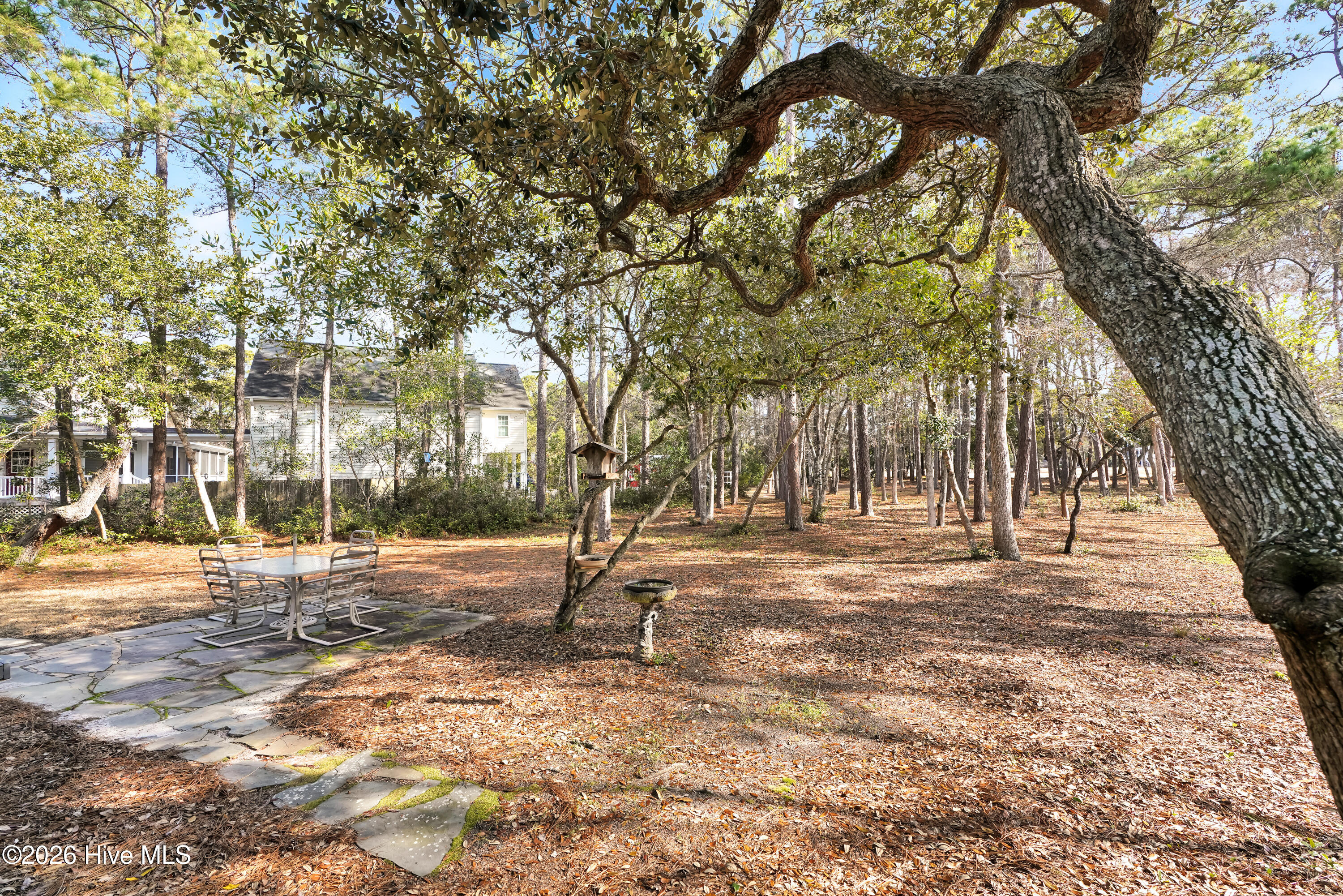 100549452 | Photo 31