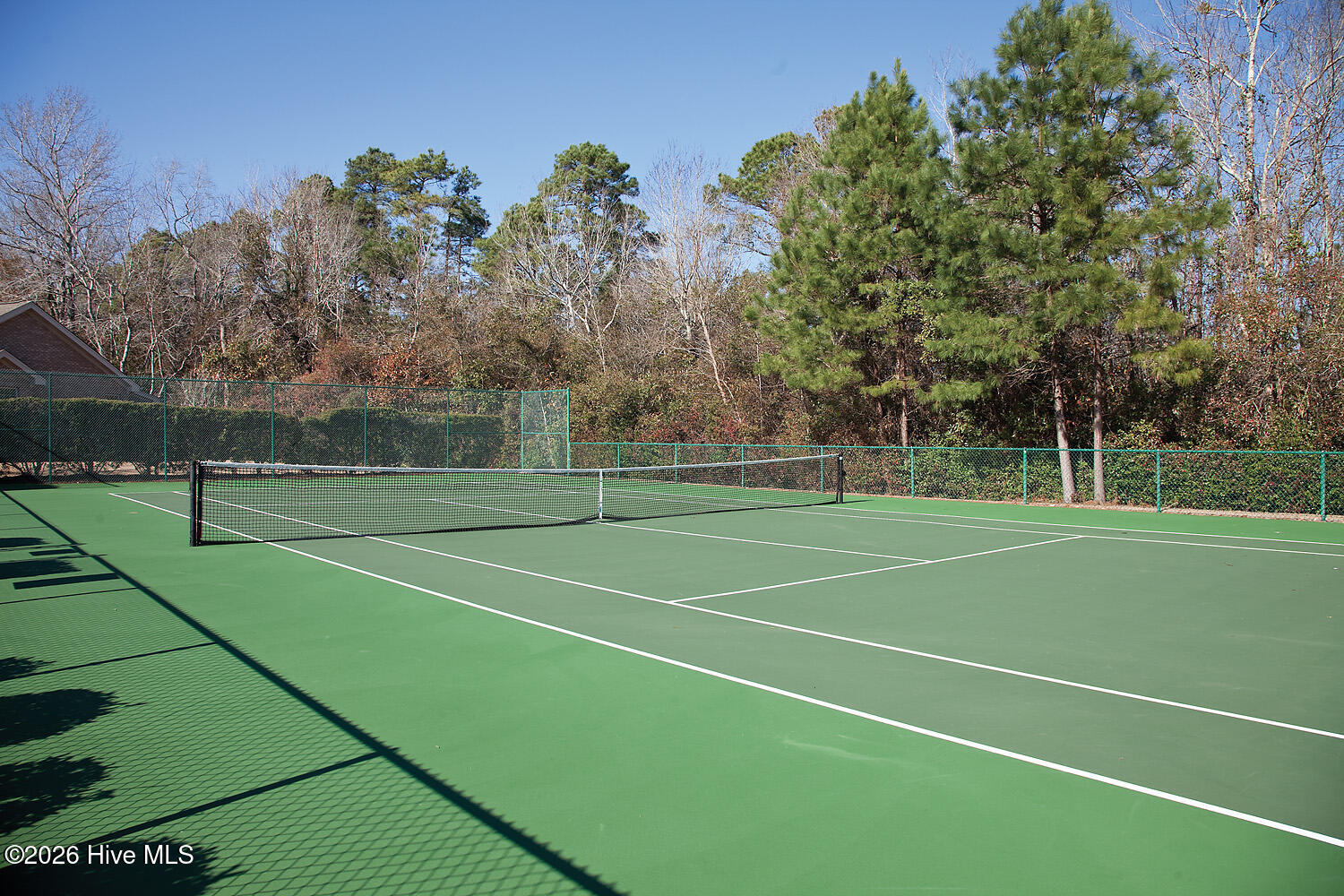 100567034 | Photo 35