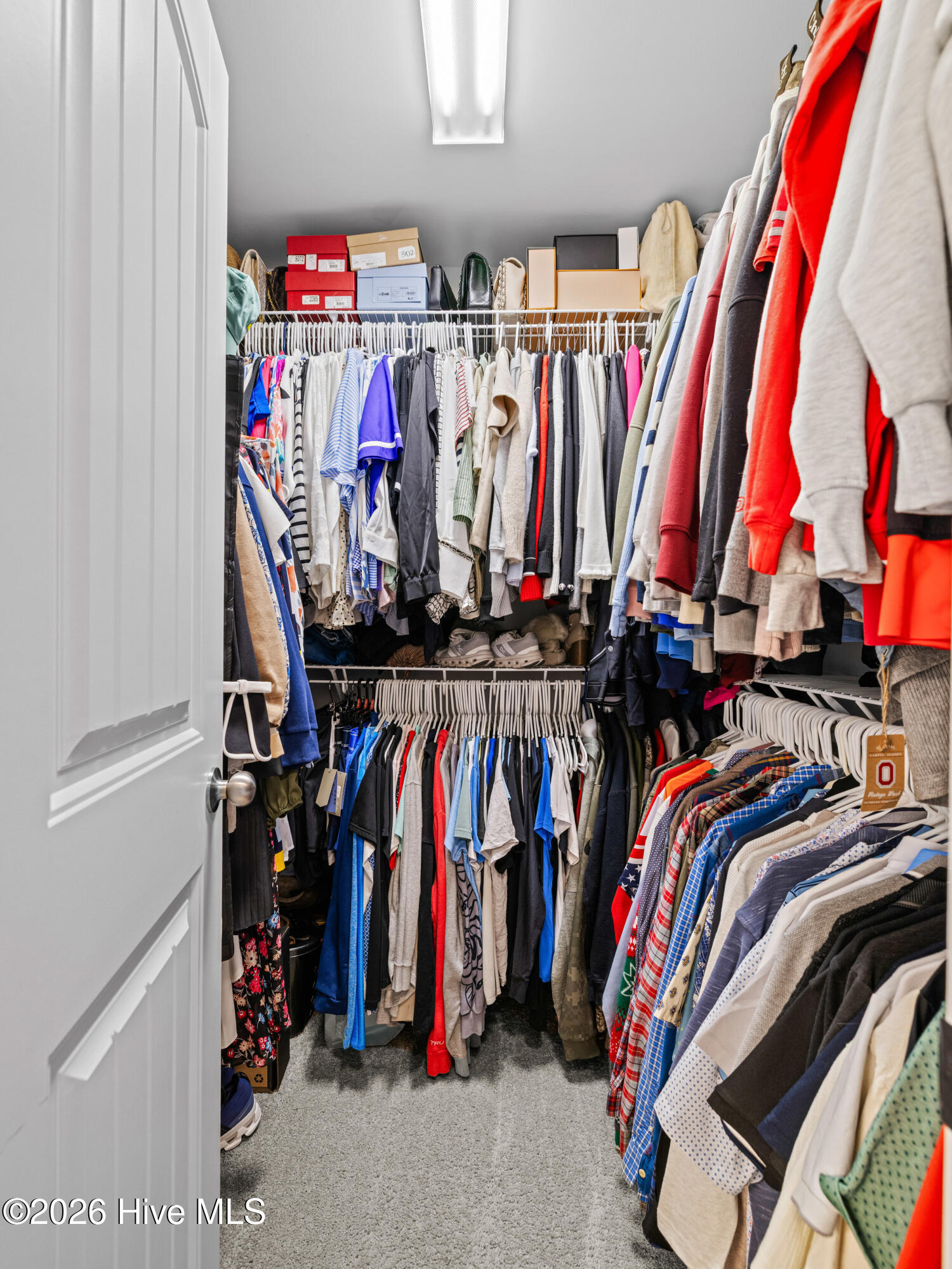 100569509 | Photo 47