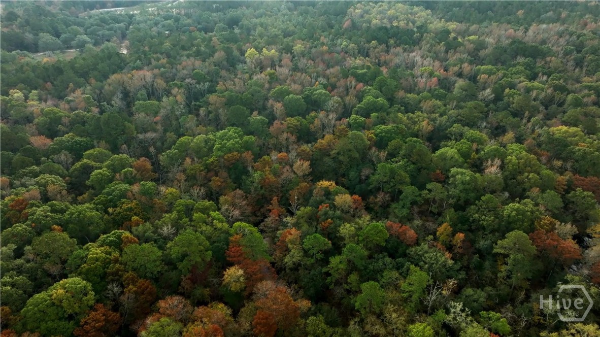 2065 Harris Ridge Road, Winterville, NC, 28590