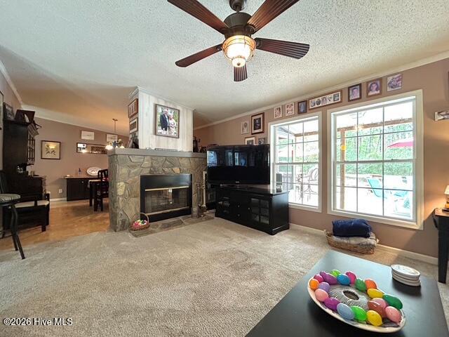 100566420 | Photo 44