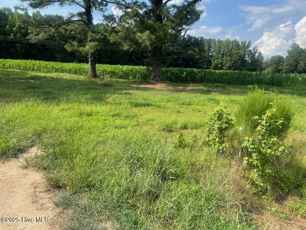 0000 Hill Road, Smithfield, NC, 27577