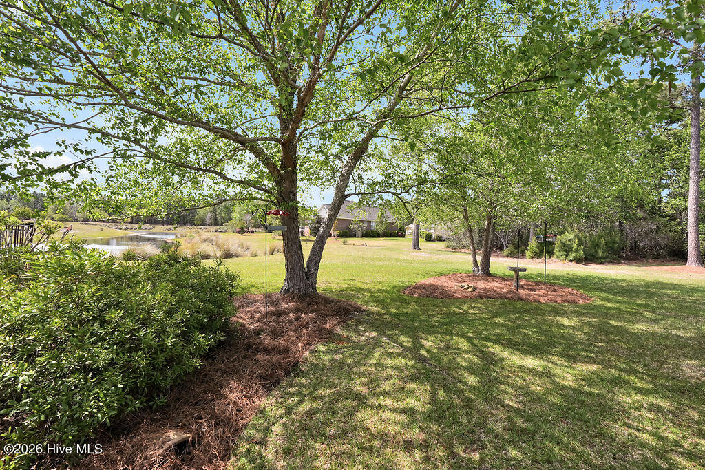 100565145 | Photo 31