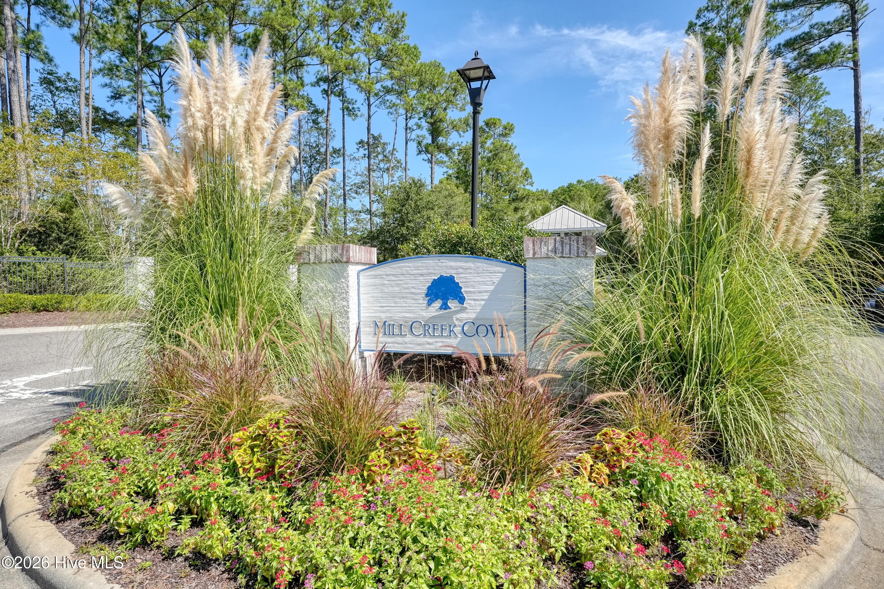 100569980 | Photo 16