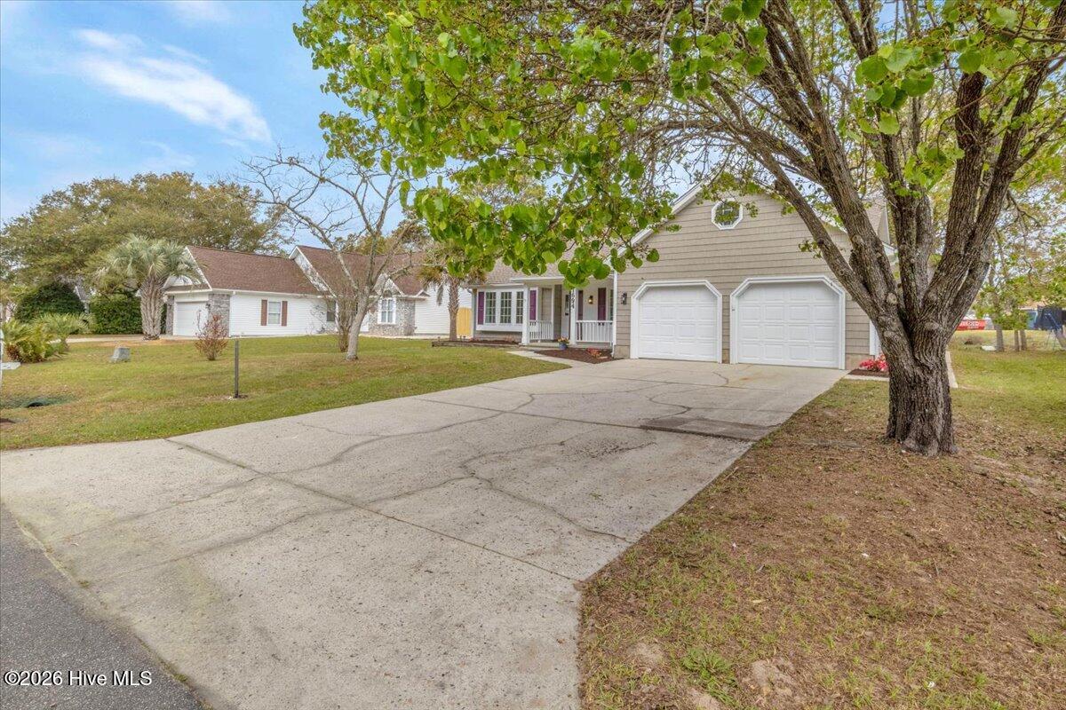 100564620 | Photo 49