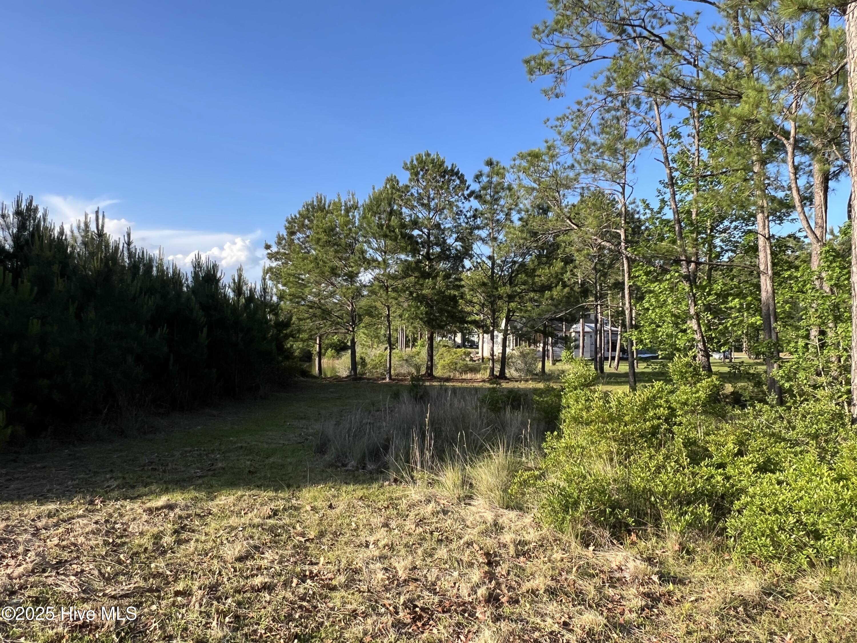 100509687 | Photo 51