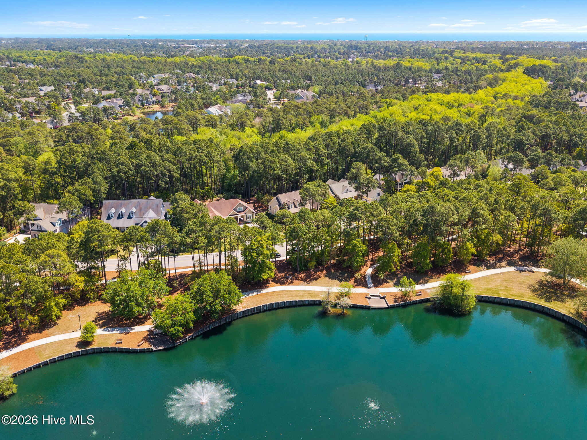 100567899 | Photo 15