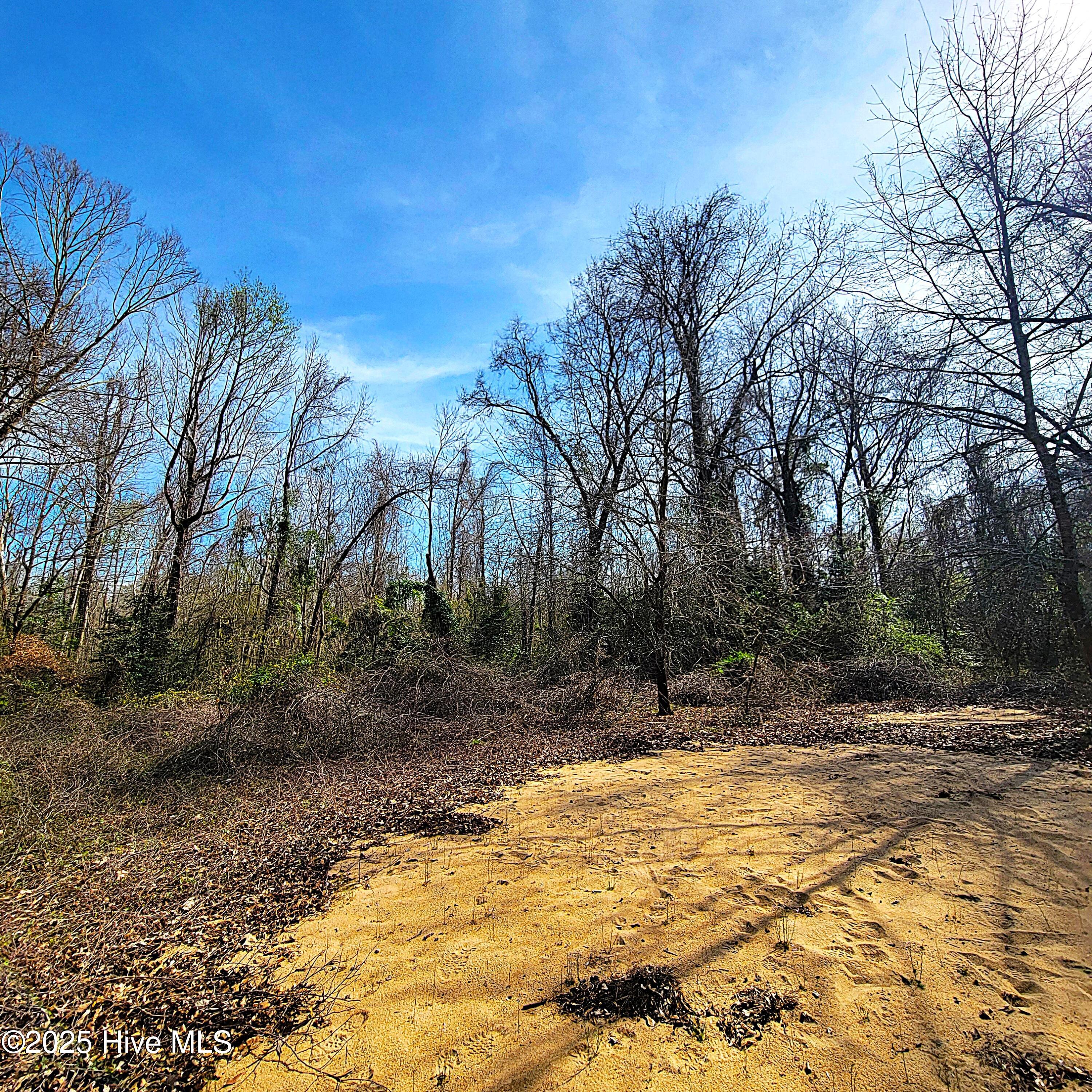 100496184 | Photo 21