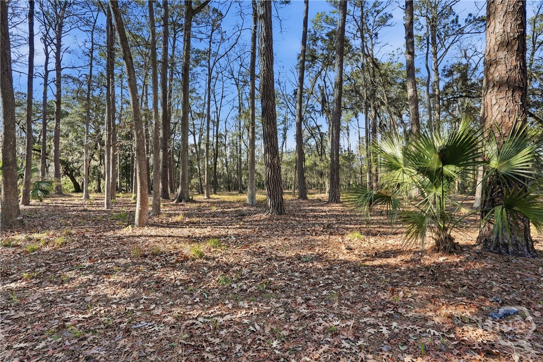 501 Wau Bun Drive, Savannah, GA, 31419