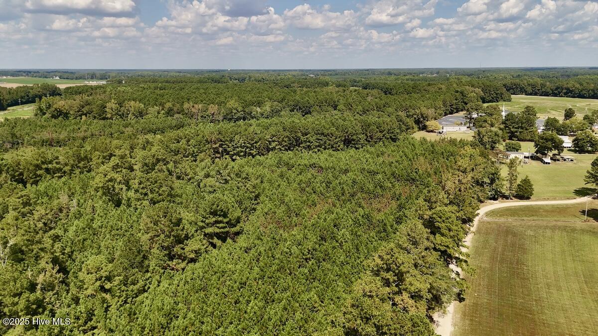 100531803 | Photo 10