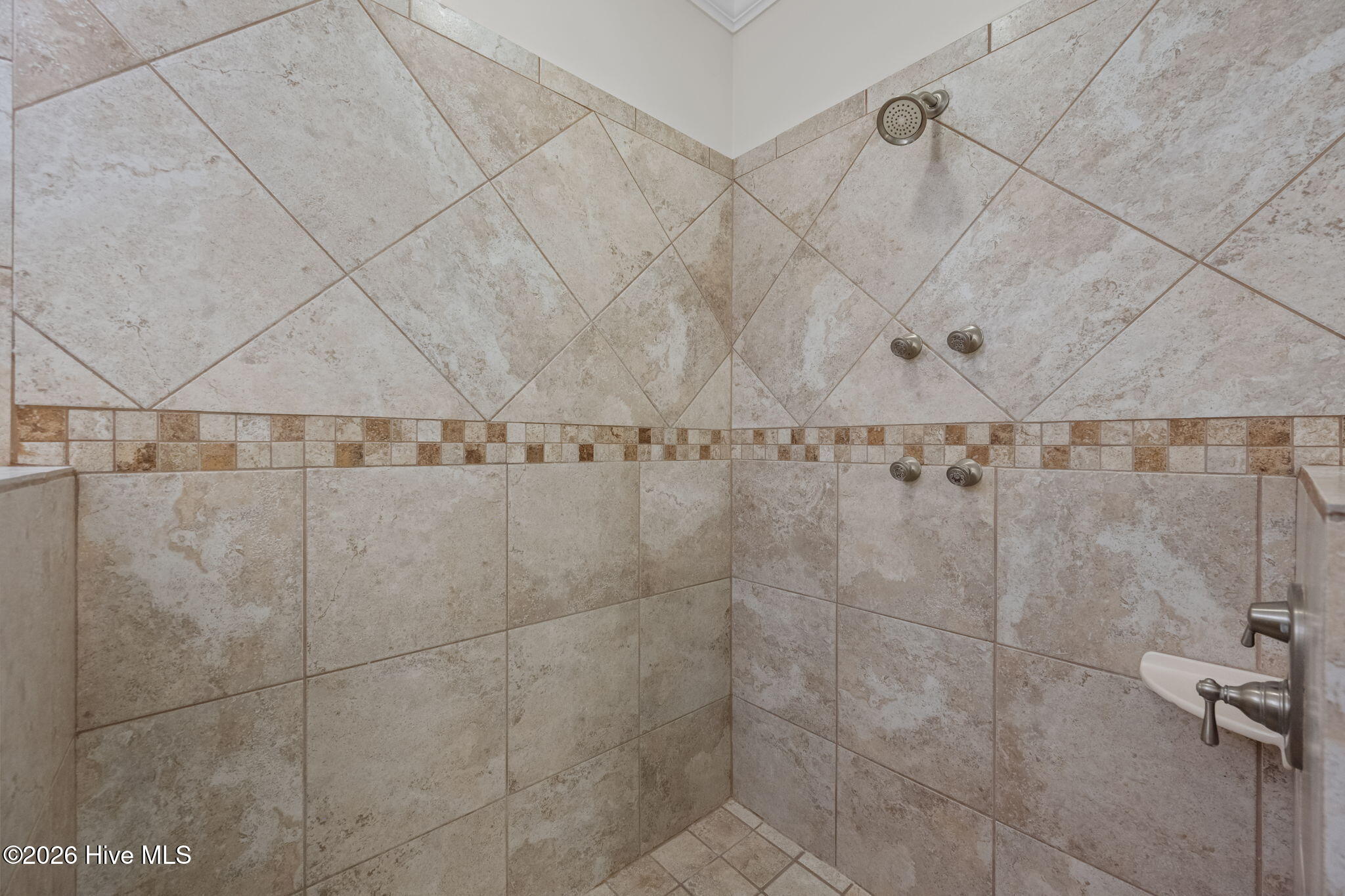 100562533 | Photo 45