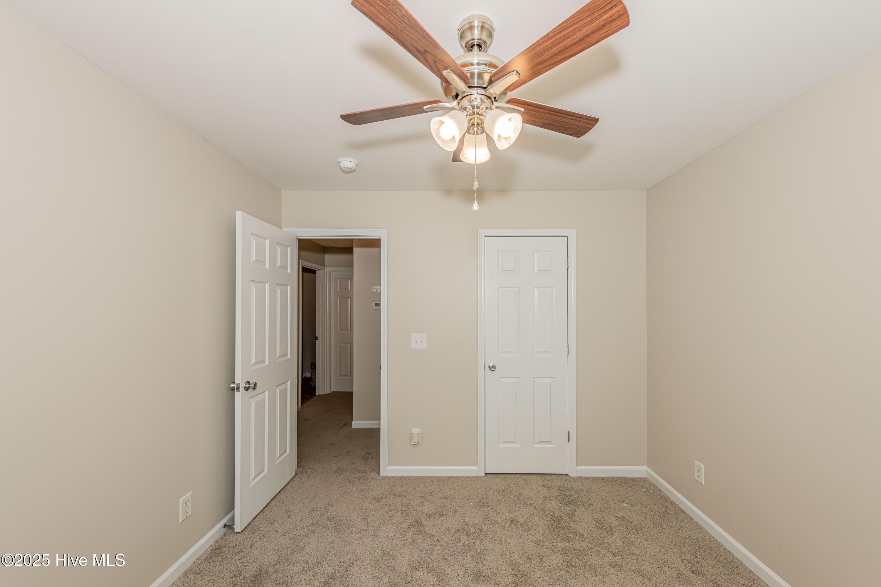 100521168 | Photo 33