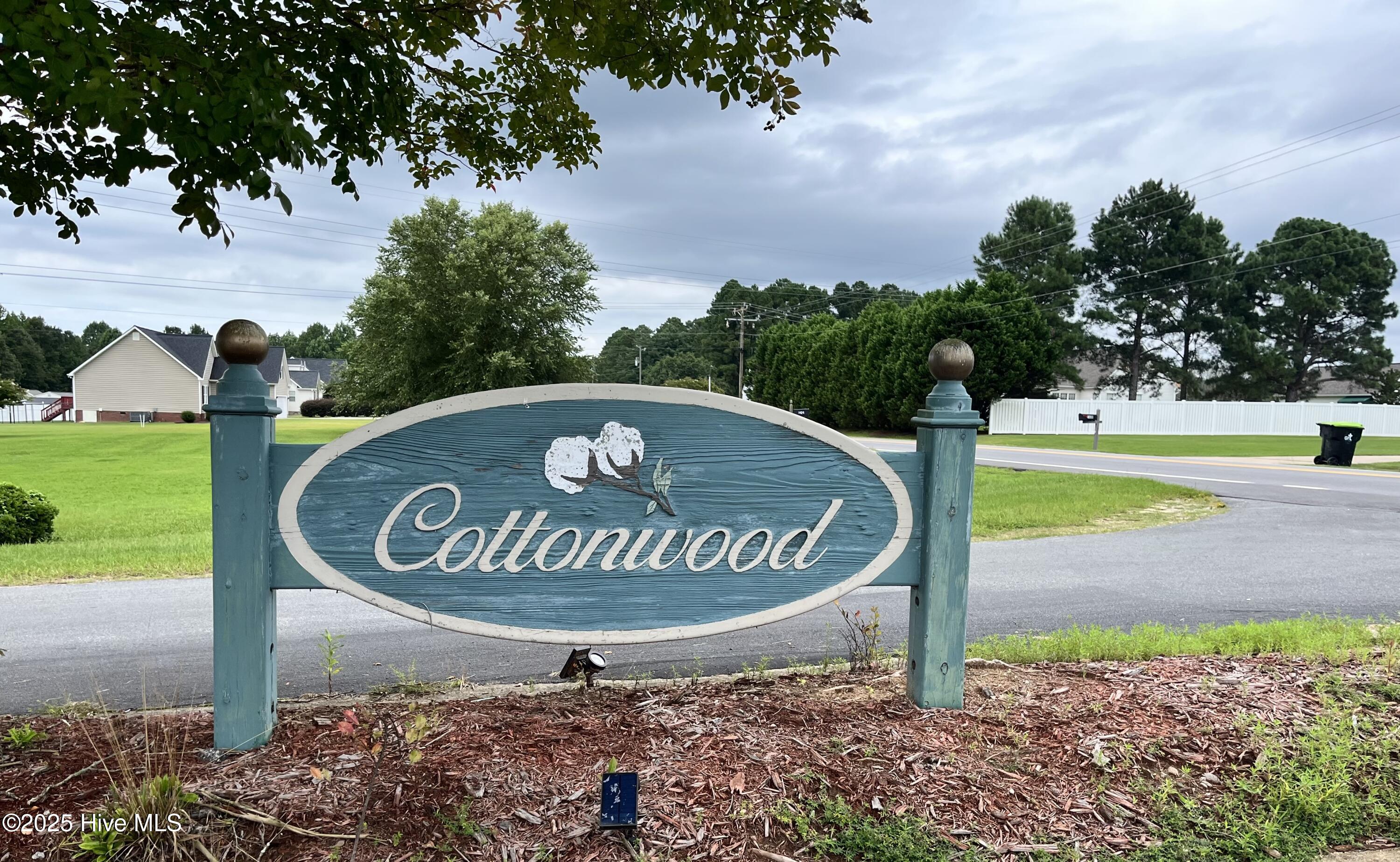 Homes for sale in Nashville, NC | 414 Ash Lily Ct, Nashville, NC 27856 | MLS# 100524975