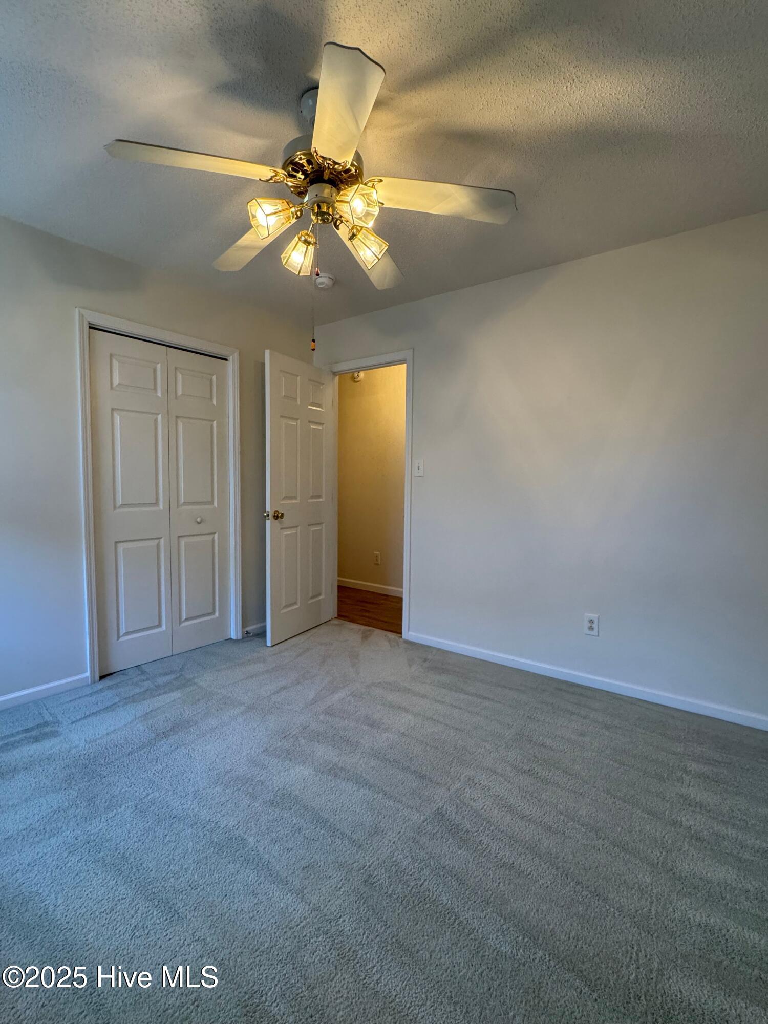 100539298 | Photo 19