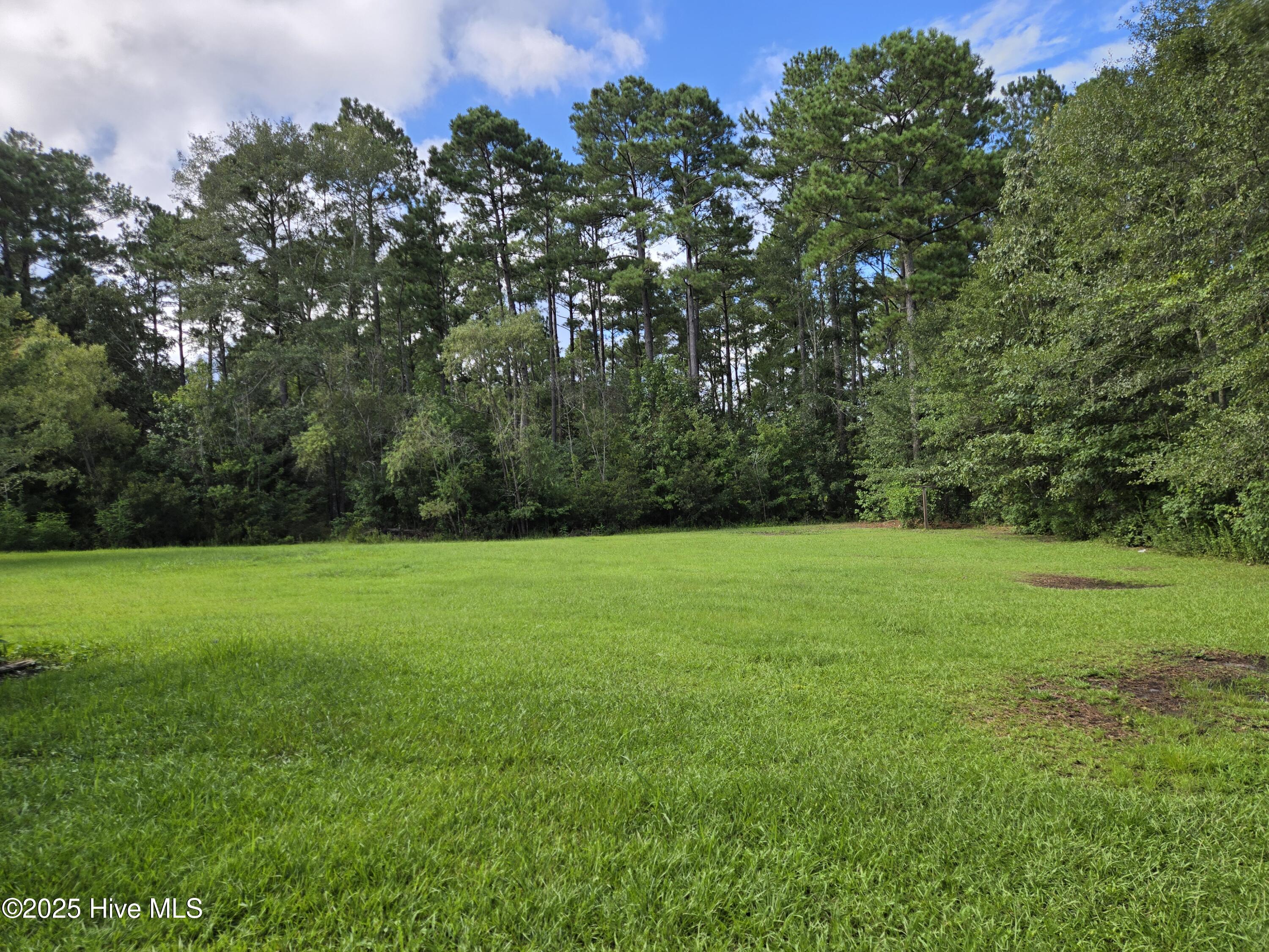 288 Lanier Avenue, Rocky Point, NC 28457 – photo 3: 20250806_165057