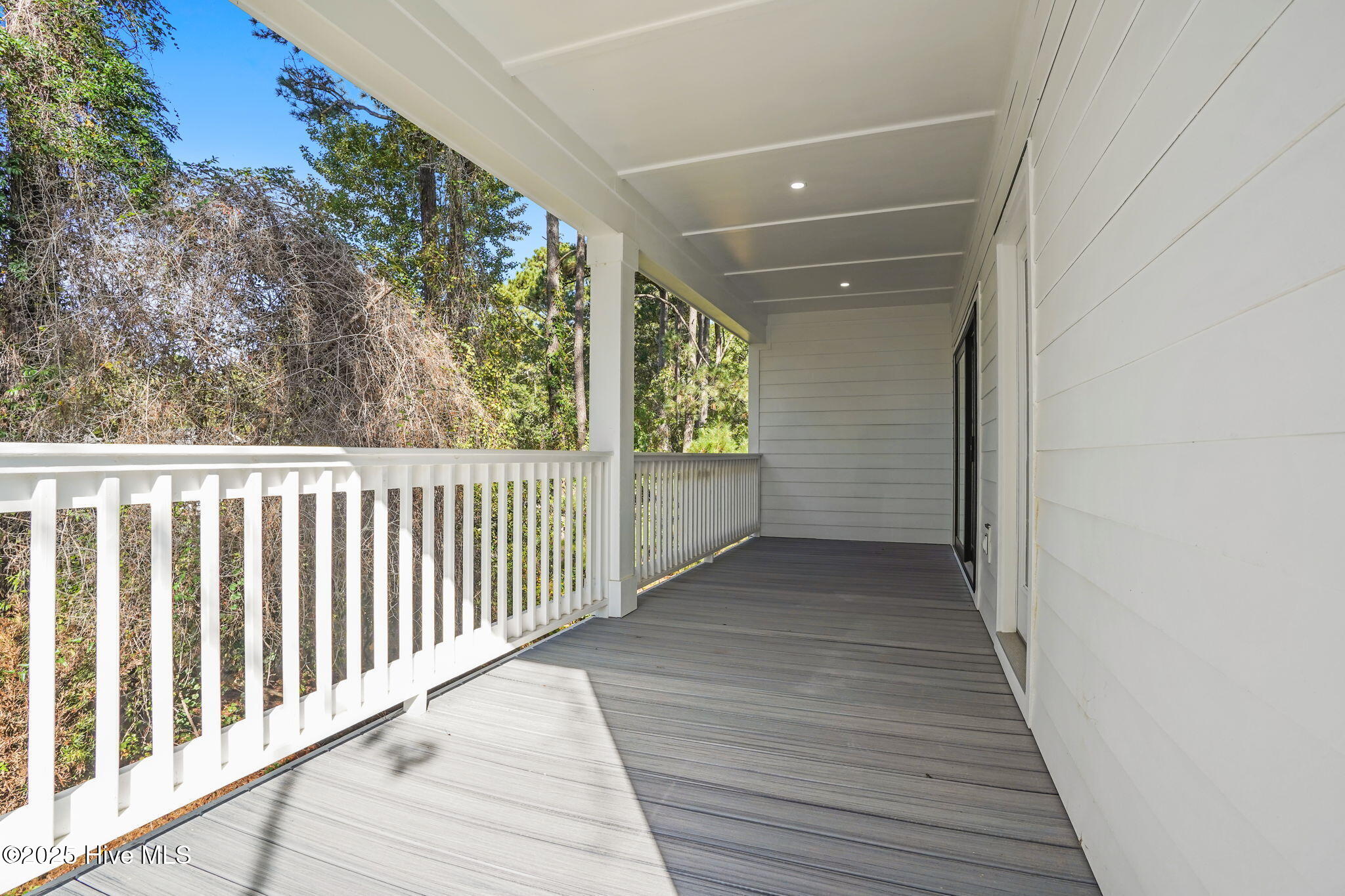 100535041 | Photo 24