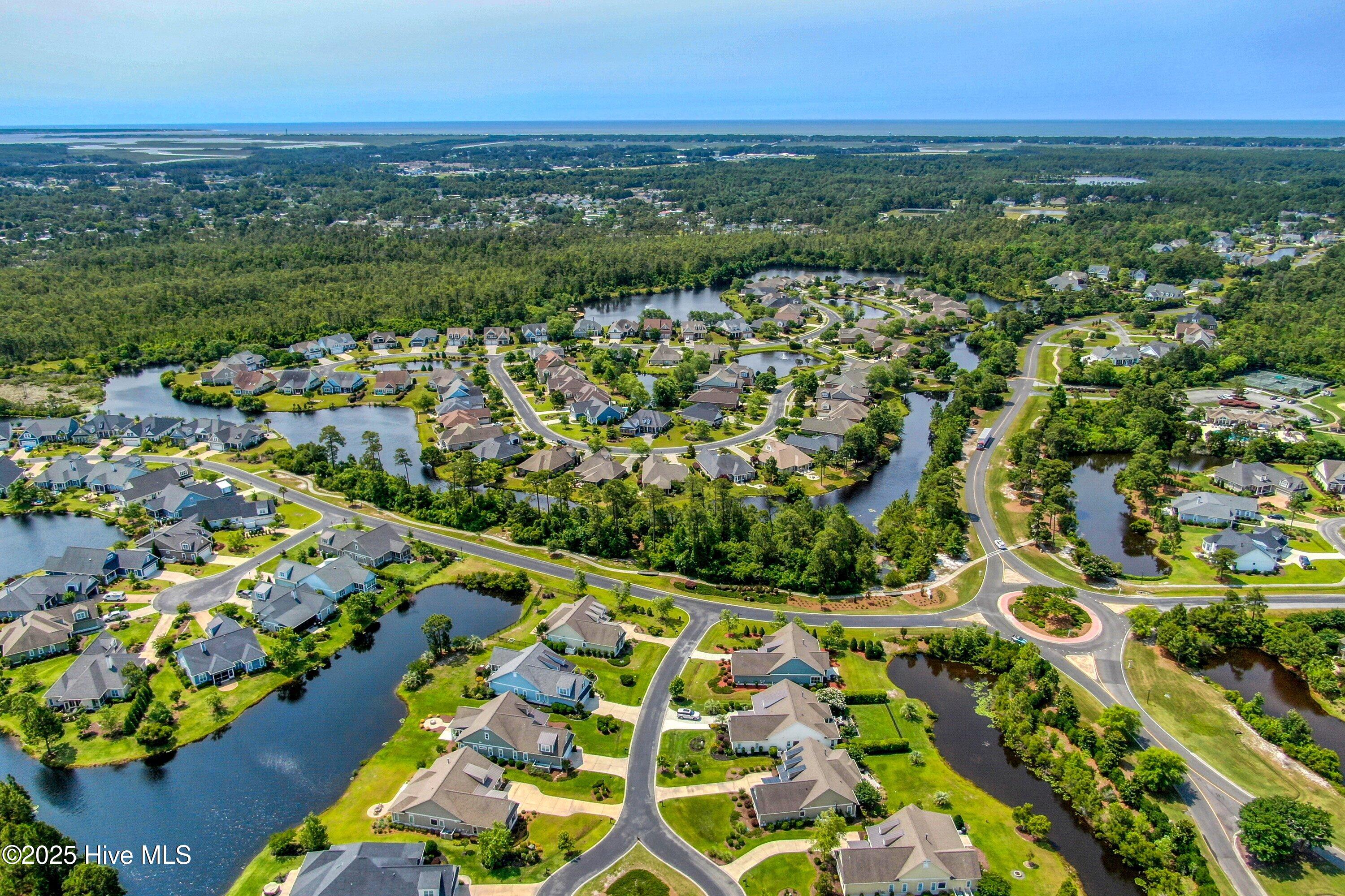 100553143 | Photo 42