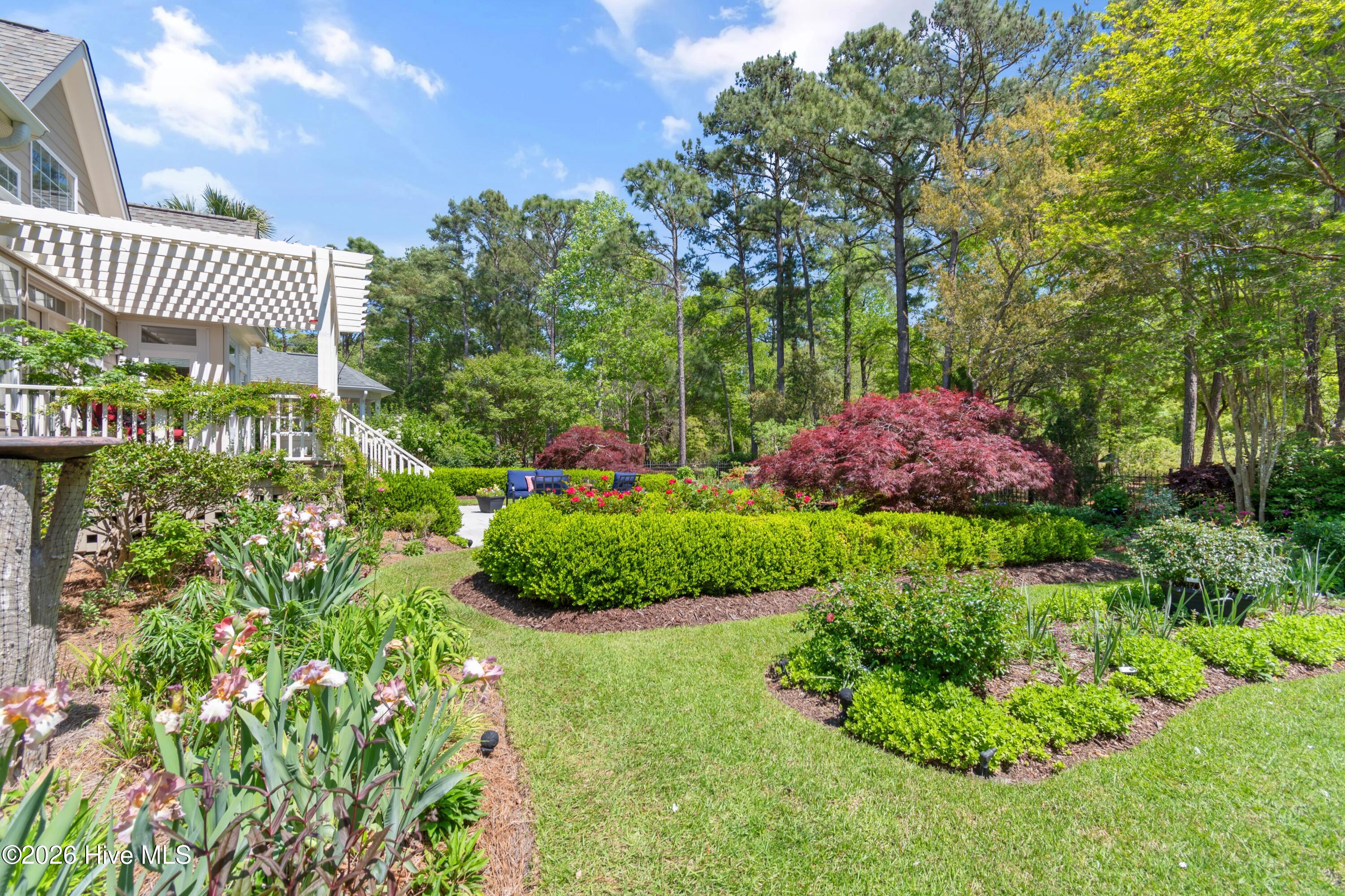 100567309 | Photo 45