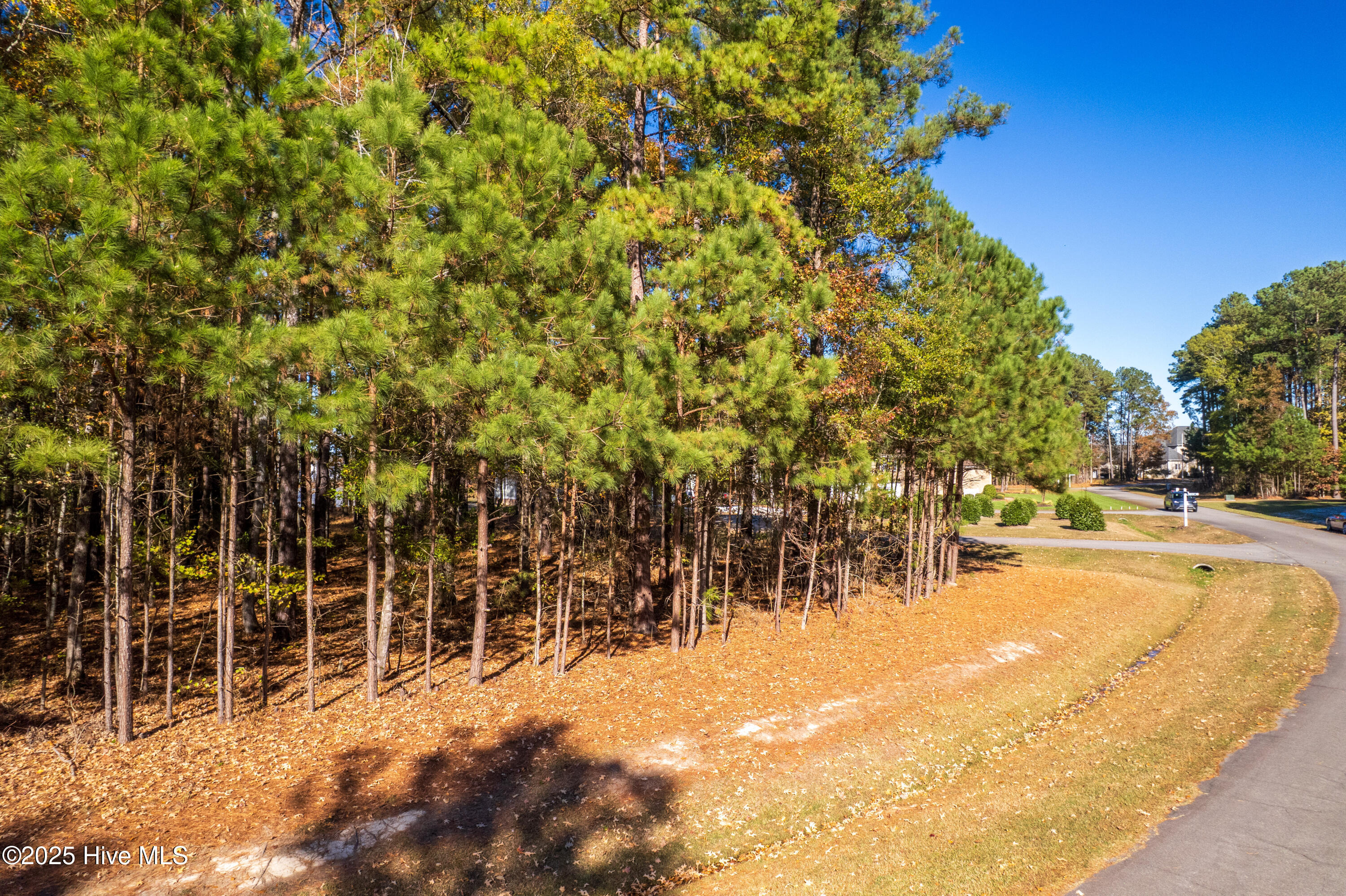 65 Standard Bred Way, Hertford, NC, 27944