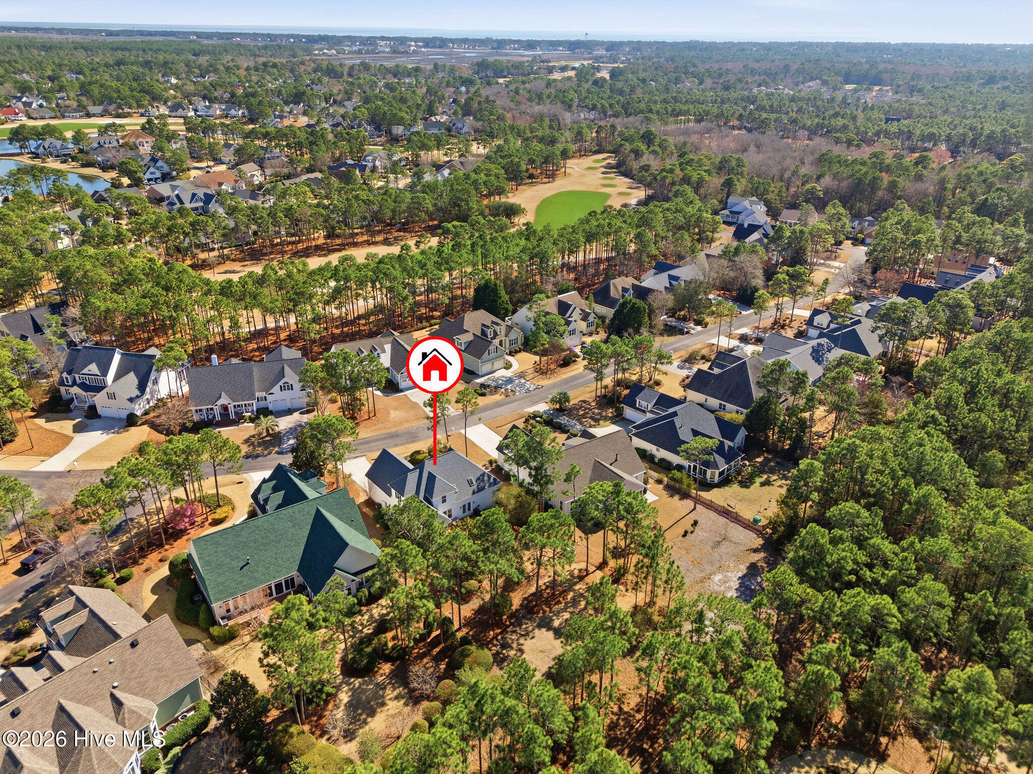 100558304 | Photo 59