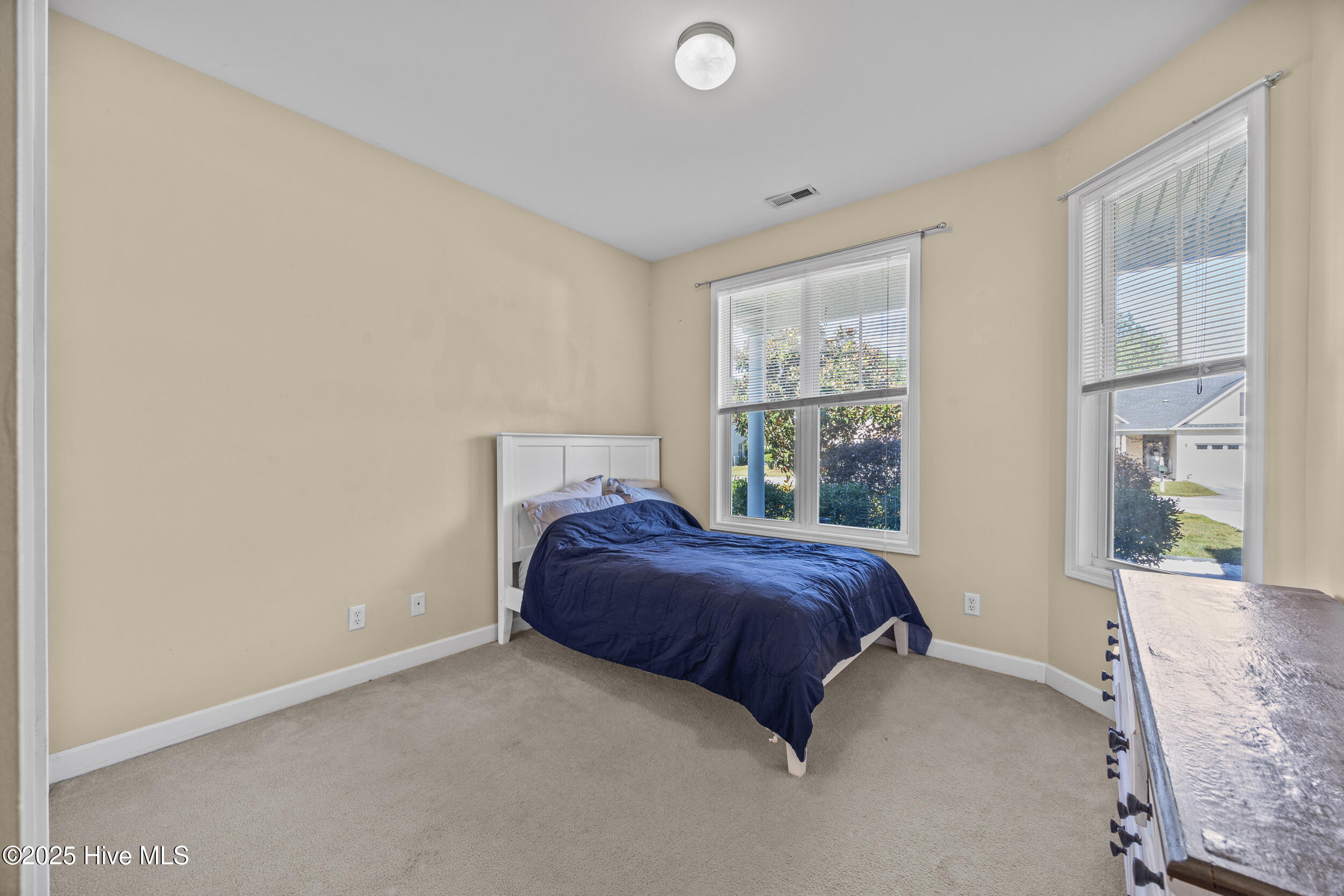 100535393 | Photo 19